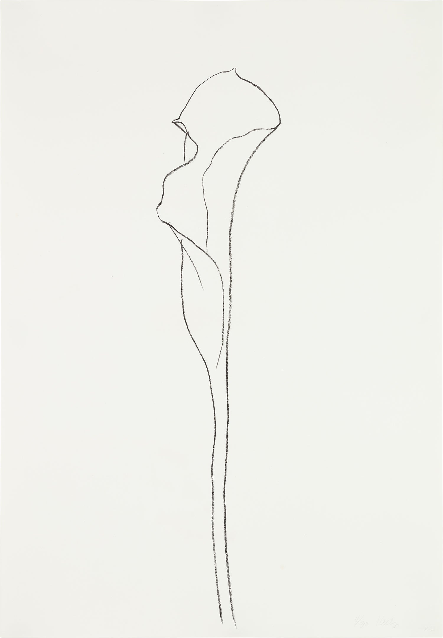 Ellsworth Kelly Editions & Works on Paper
