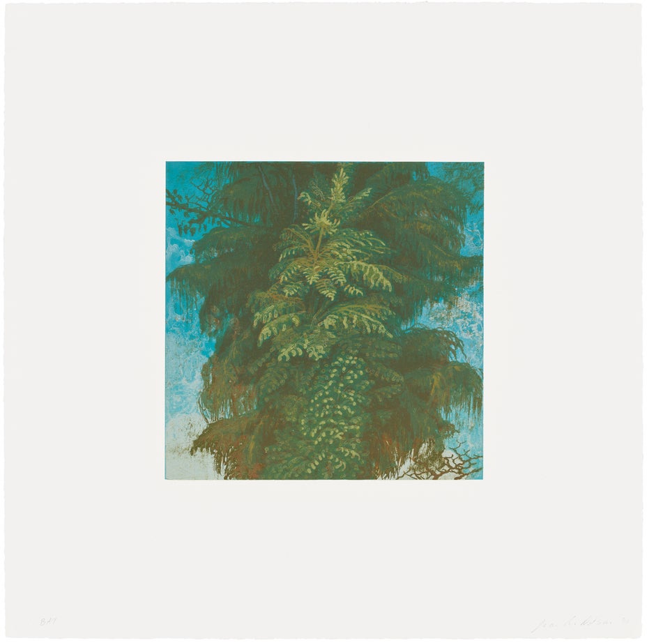 Lot 9