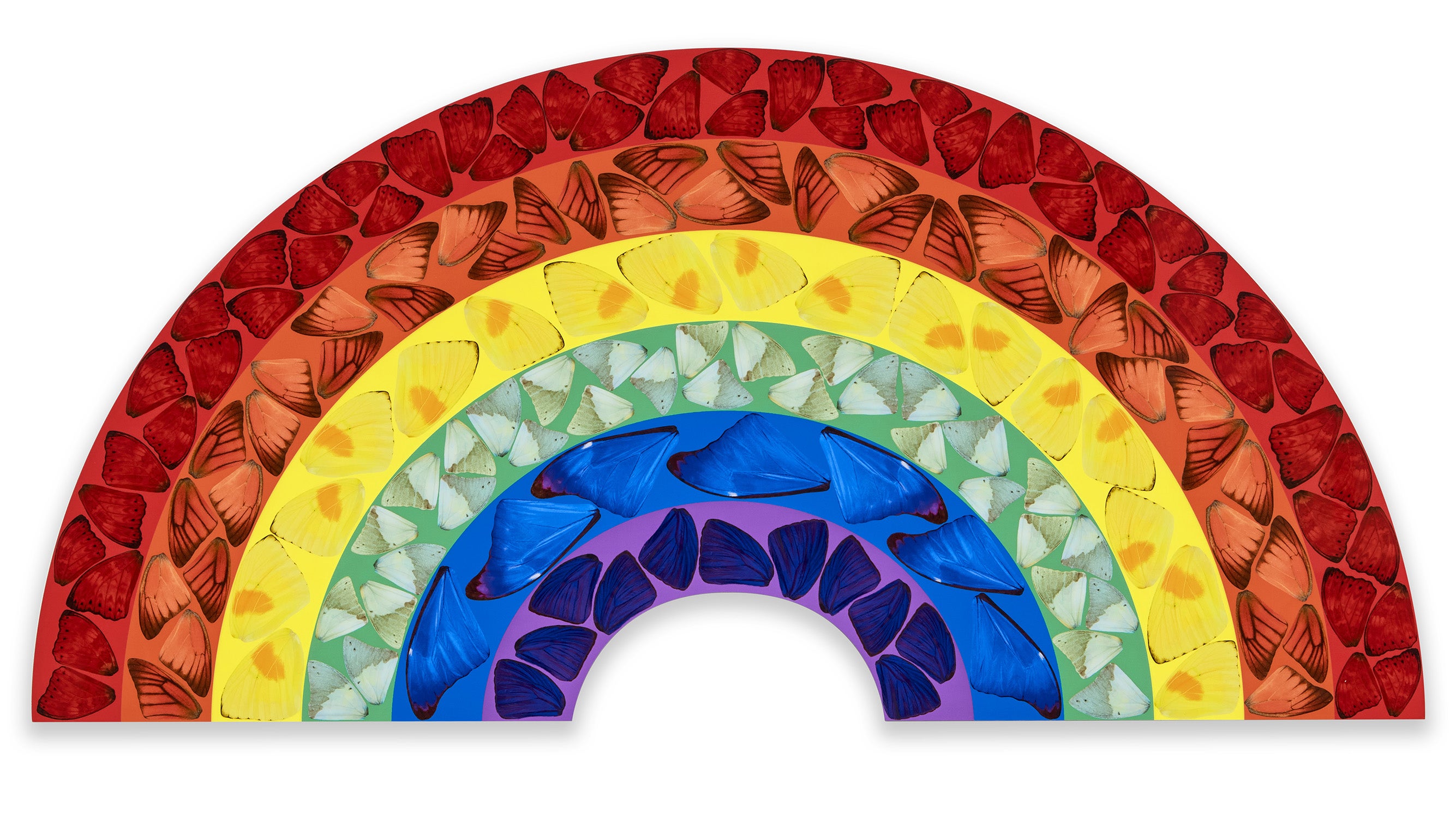 Butterfly Rainbow (Large) (H7-1)