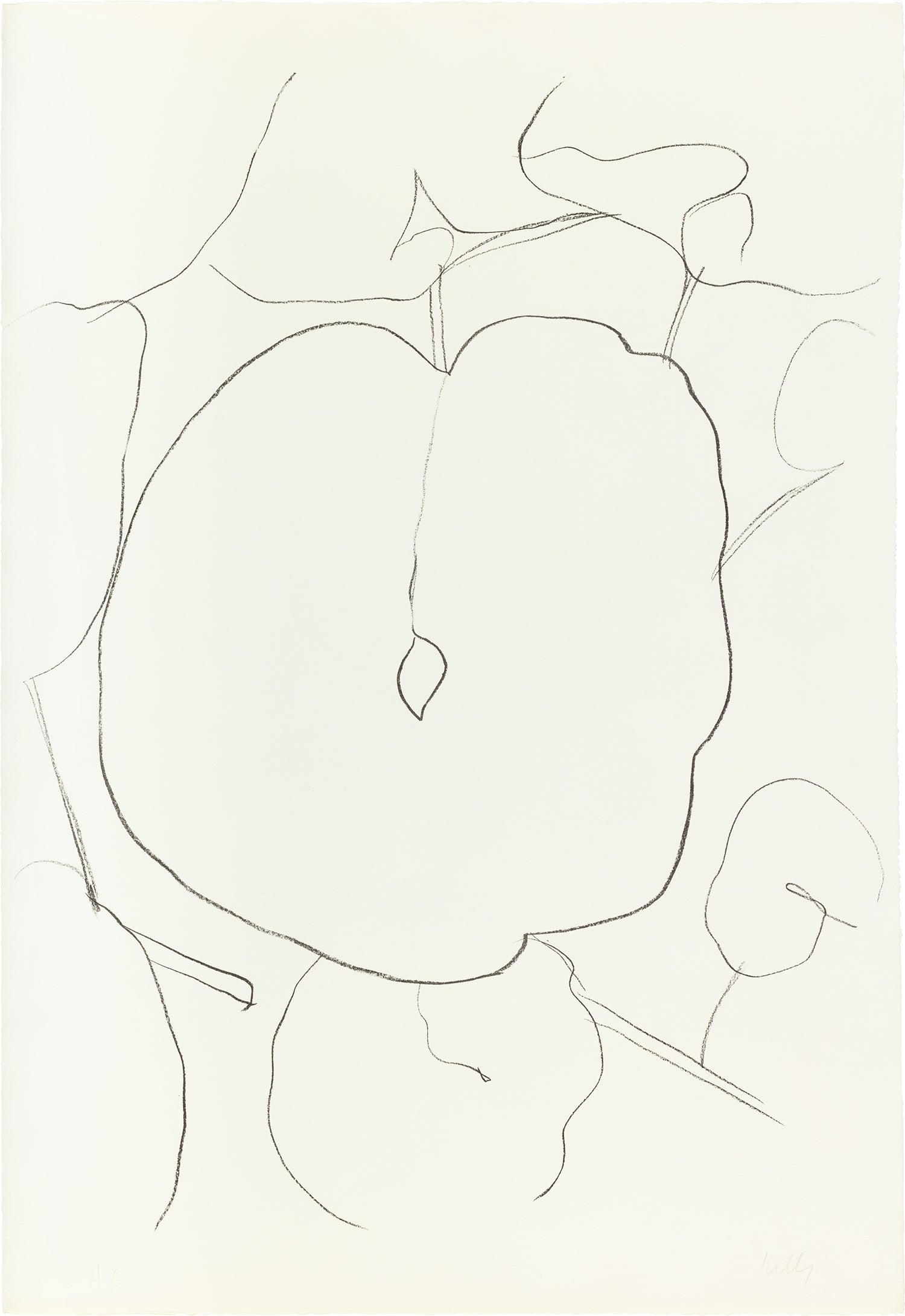 Melon Leaf (Feuille de Melon), from Suite of Plant Lithographs (A. 44)