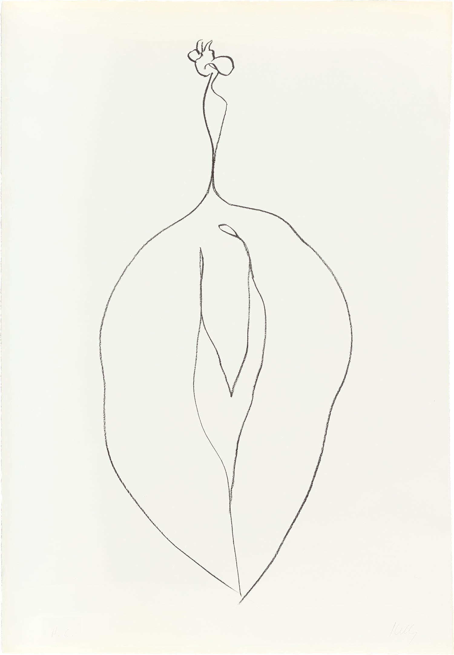 Seaweed (Algue), from Suite of Plant Lithographs (A. 53)