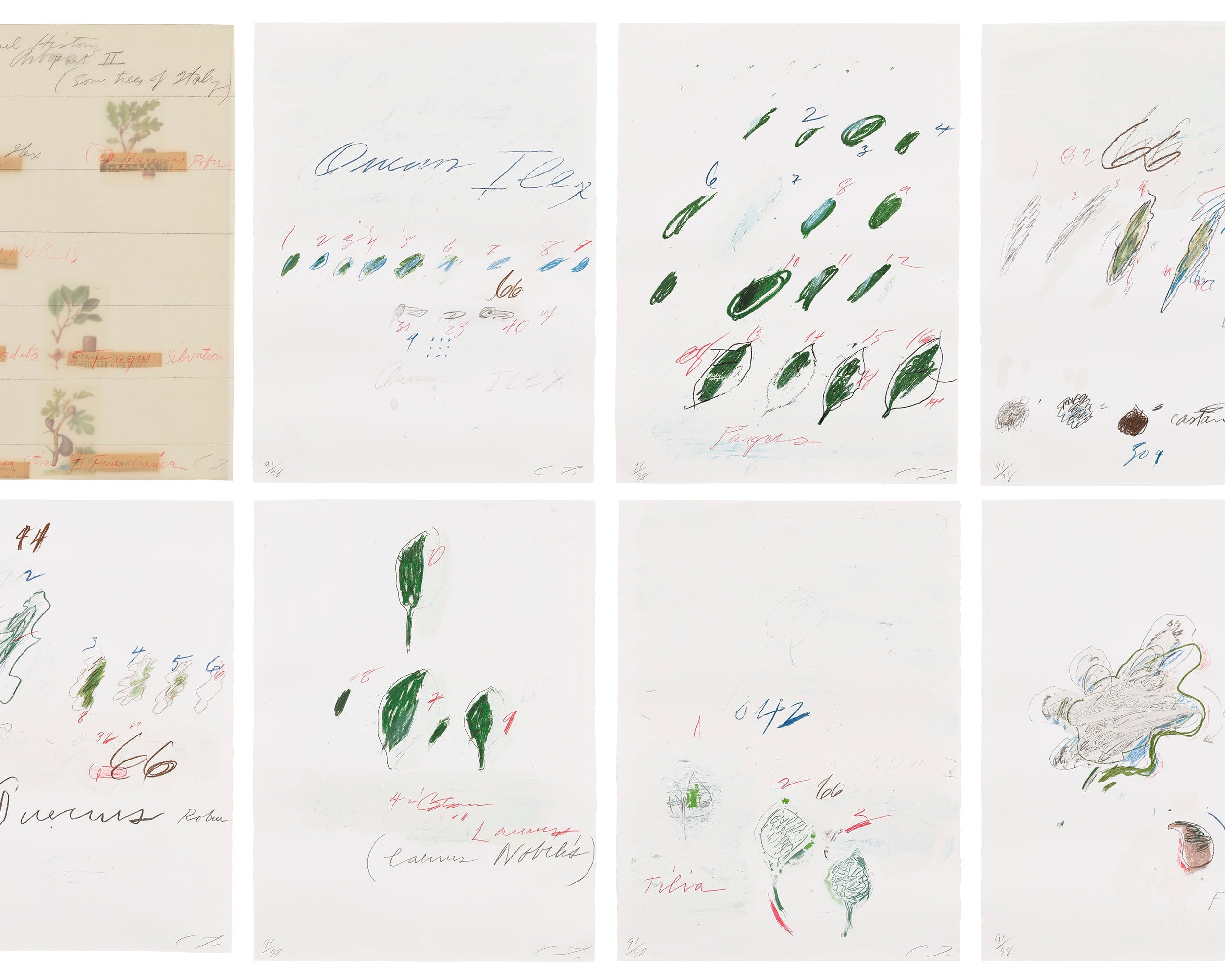 Editions & Works on Paper Tuesday, June 24, 2025