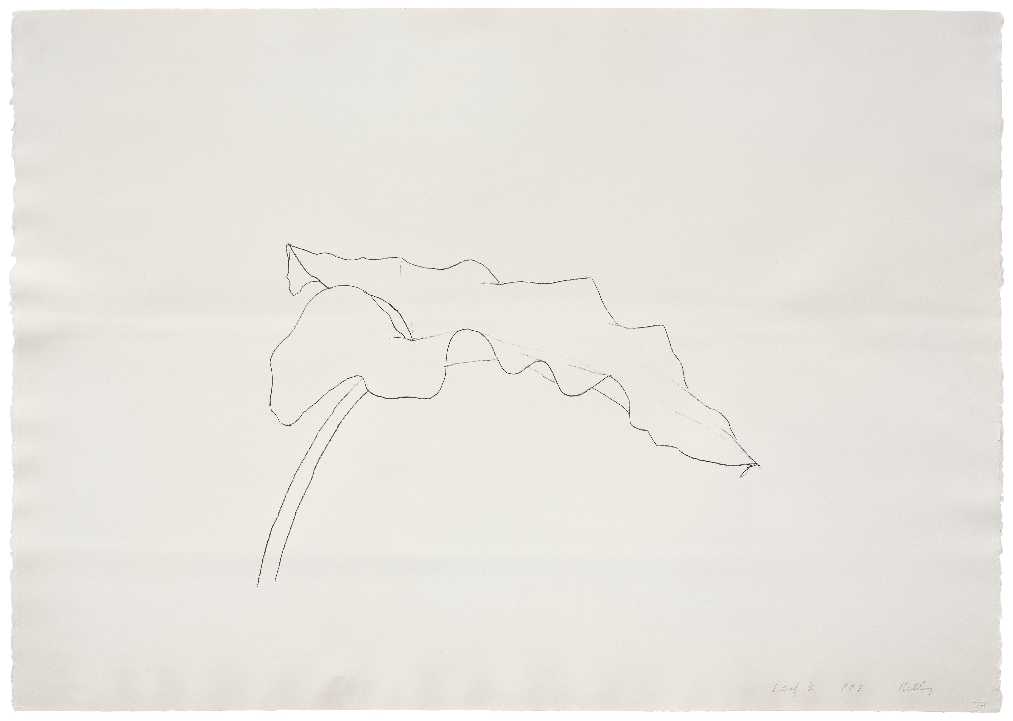Ellsworth Kelly: Works for Sale, Upcoming Auctions & Past Results