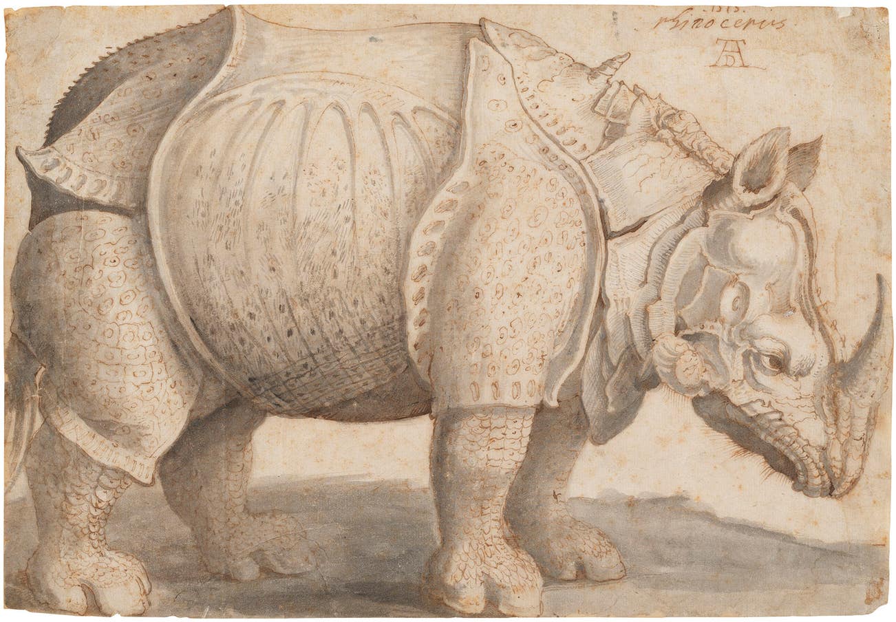 <p><strong>AFTER ALBRECHT DÜRER</strong> <em>Rhinoceros, </em>$20,000–30,000</p>
