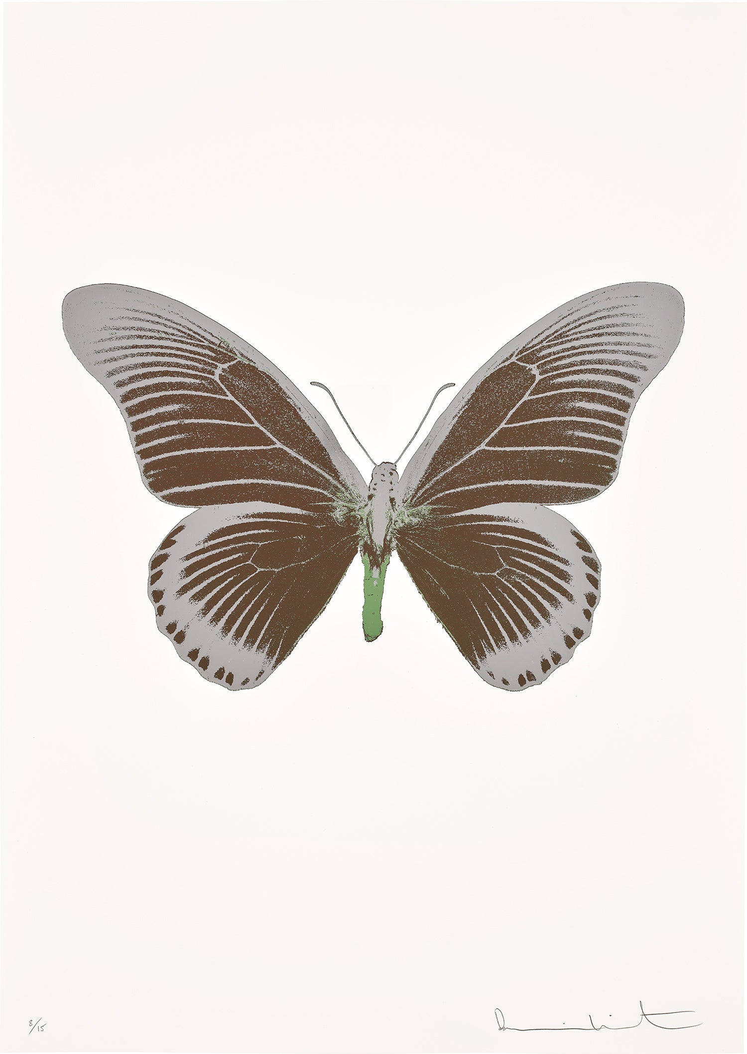 The Souls IV - Chocolate/Silver Gloss/Leaf Green