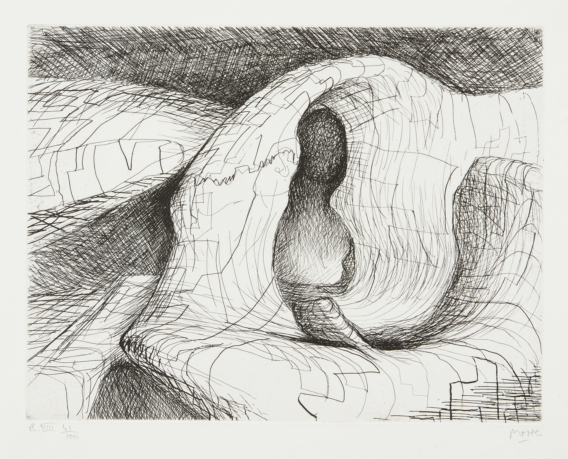 Elephant Skull: plate VIII (C. 121)