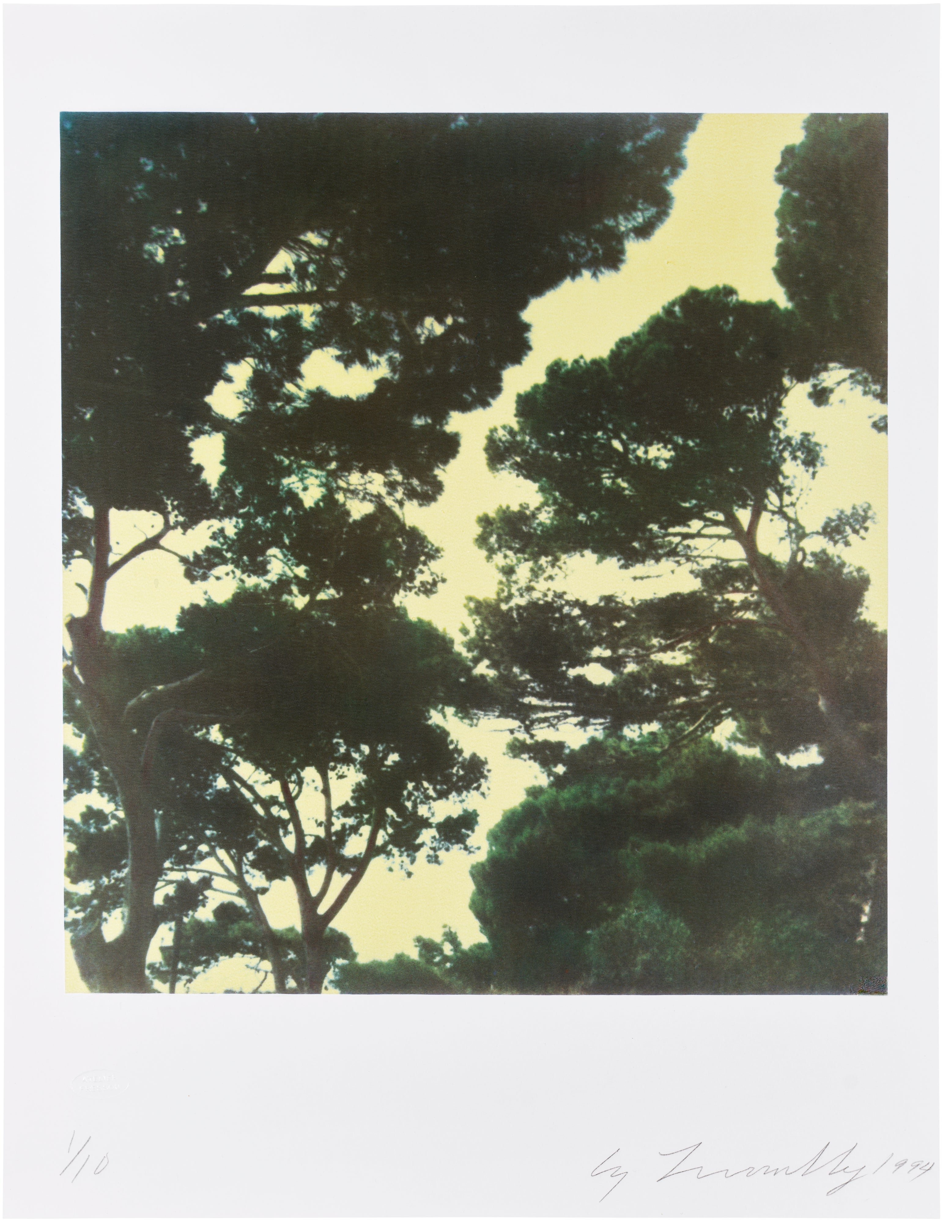 Cy Twombly: Works for Sale, Upcoming Auctions & Past Results