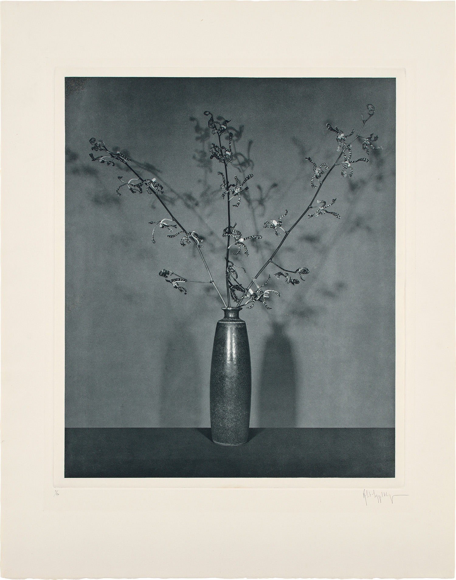 Robert Mapplethorpe Editions Contemporary: Online Auction