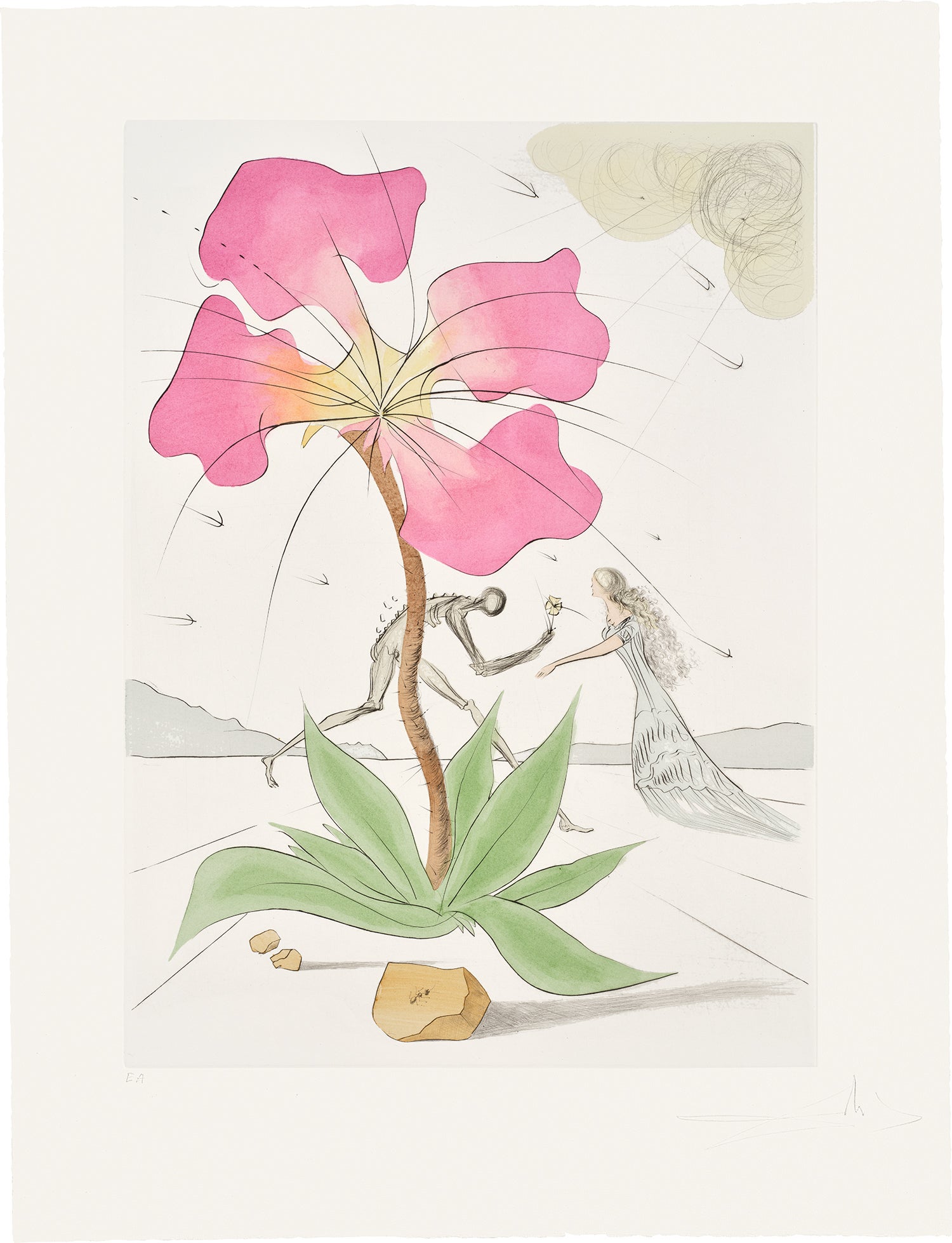 Salvador Dalí Editions & Works on Paper