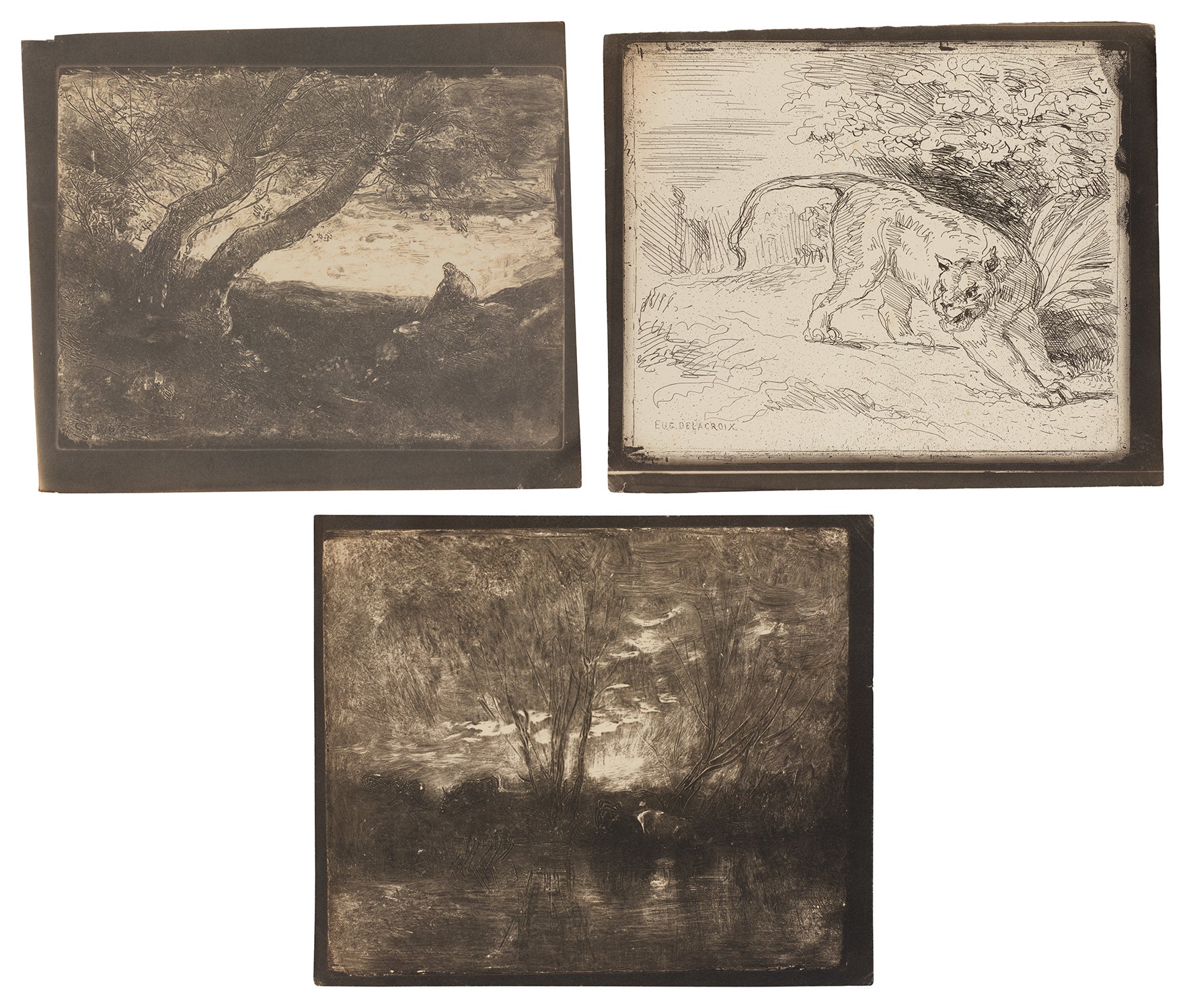 Le Songeur (The Dreamer); Tigre en arrêt (Tiger at a Standstill); and Vaches à l'abreuvoir (Cows at a Watering Trough)