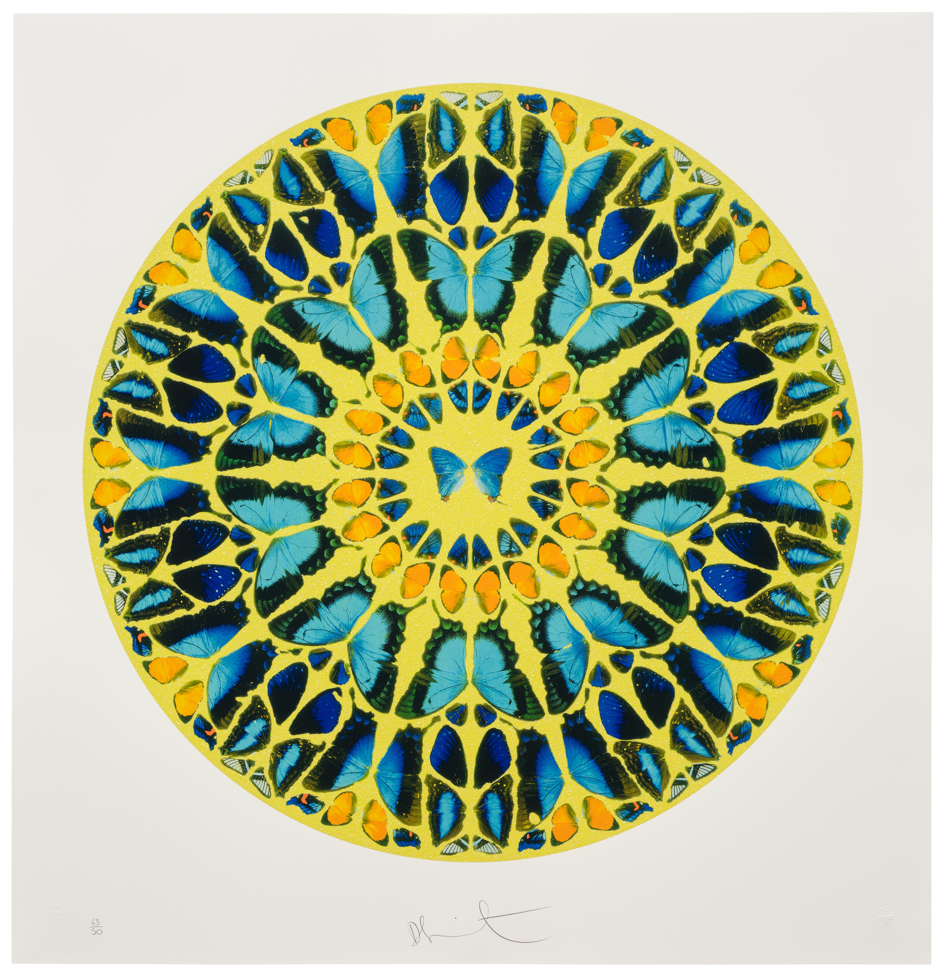 Damien Hirst: Works for Sale, Upcoming Auctions & Past Results