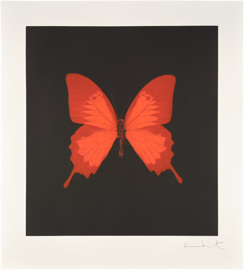 Lot 3
