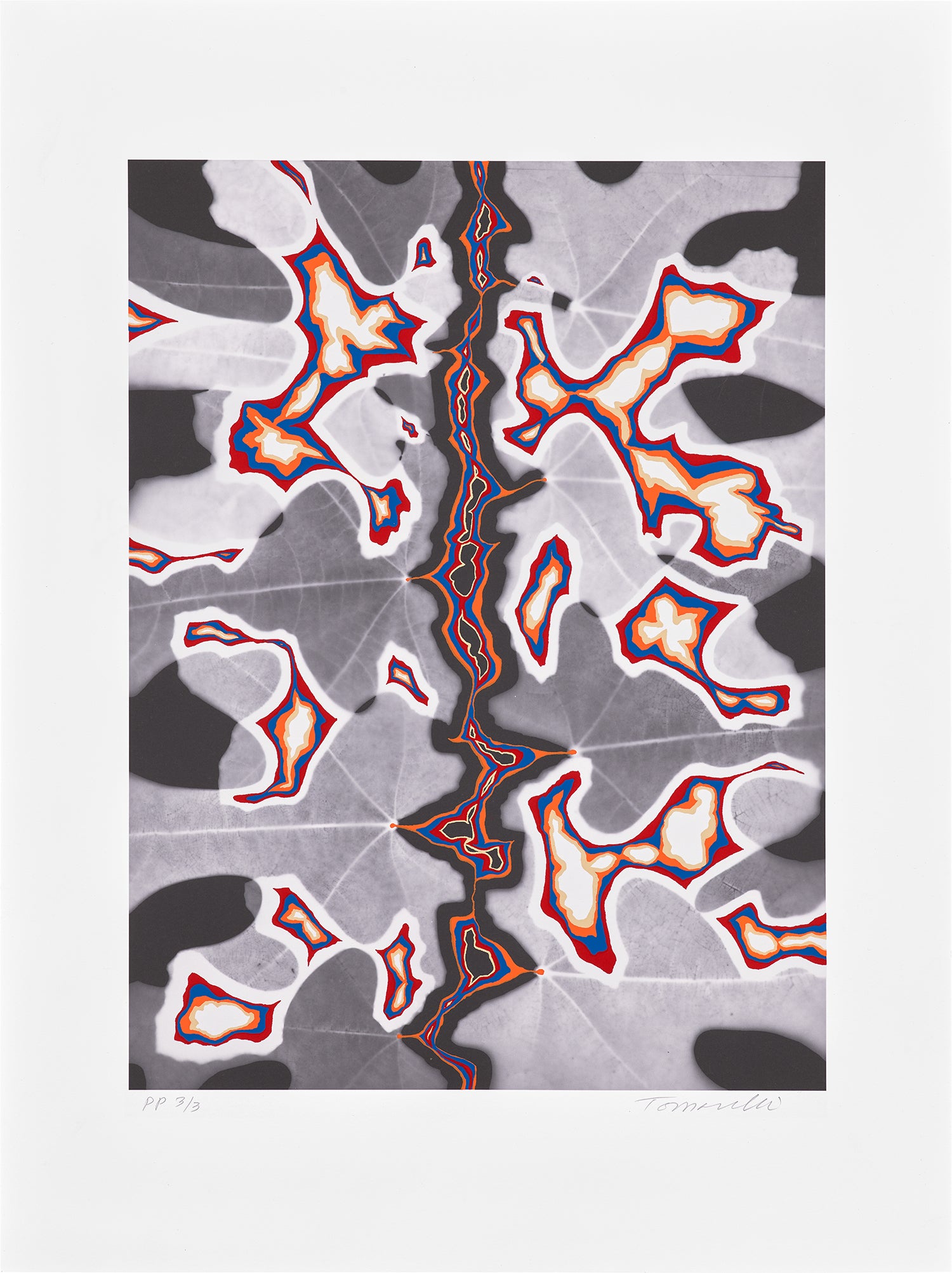 Fred Tomaselli: Works for Sale, Upcoming Auctions & Past Results