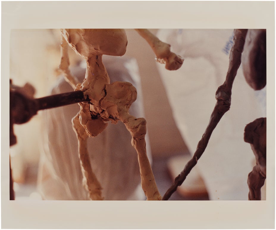 拍品編號 1