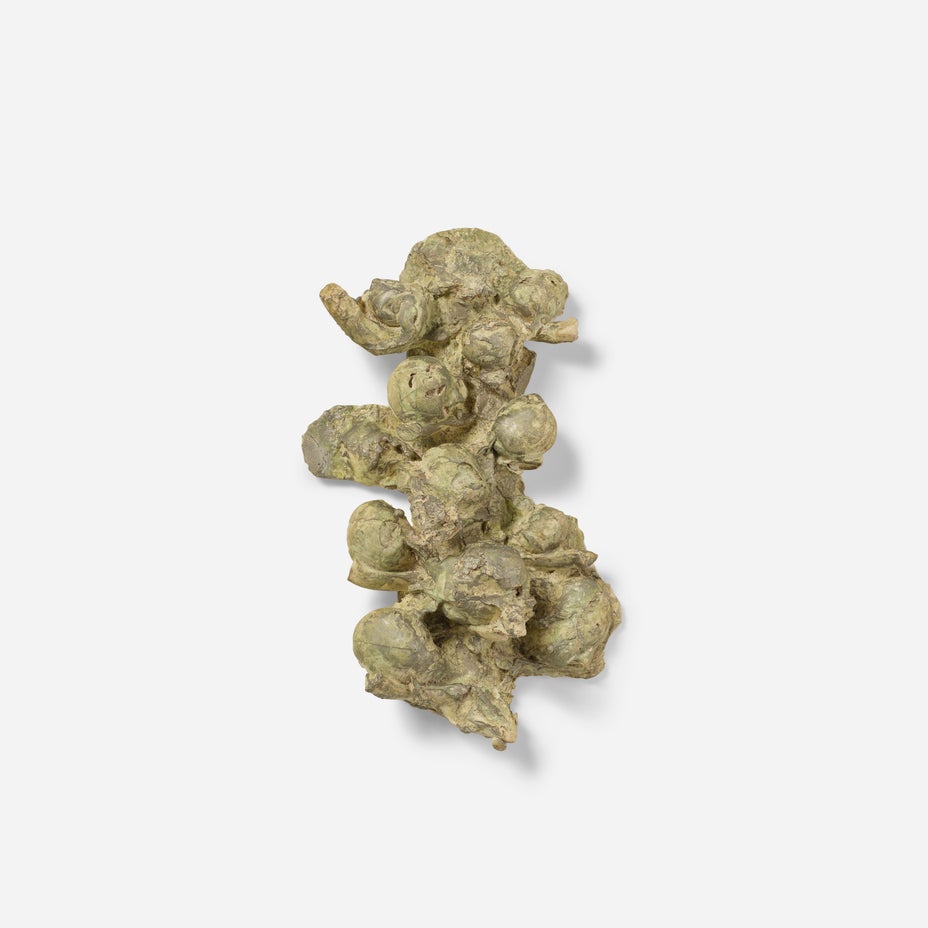 拍品編號 1