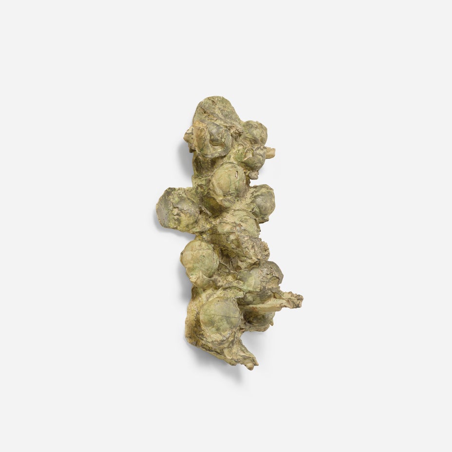 拍品編號 1