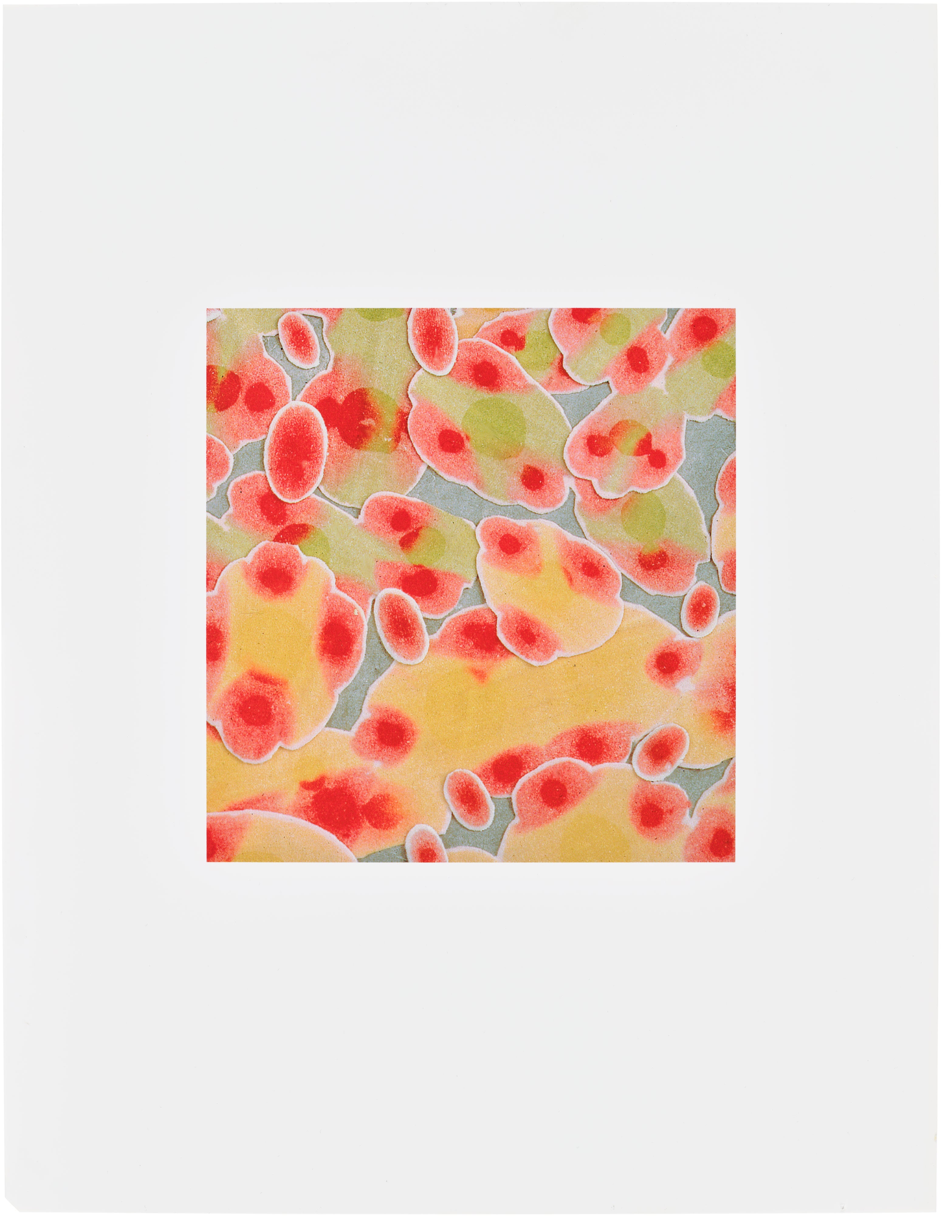 Polly Apfelbaum Editions & Works on Paper: No Reserve Online Auction