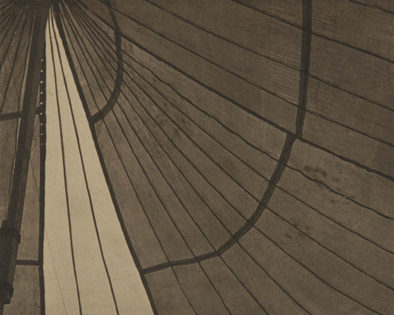 Passion & Humanity: The Susie Tompkins Buell Collection