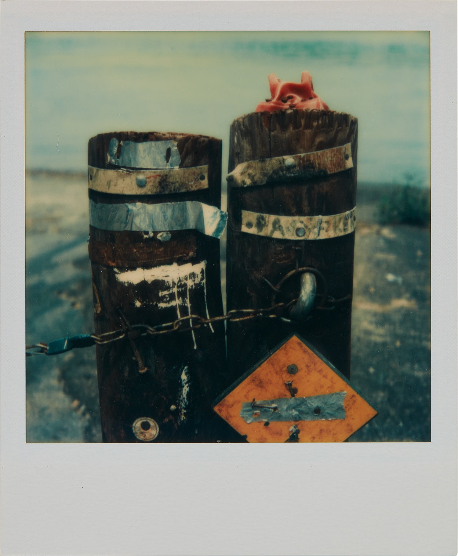 Walker Evans Photographs from the Martin Z. Margulies Foundation