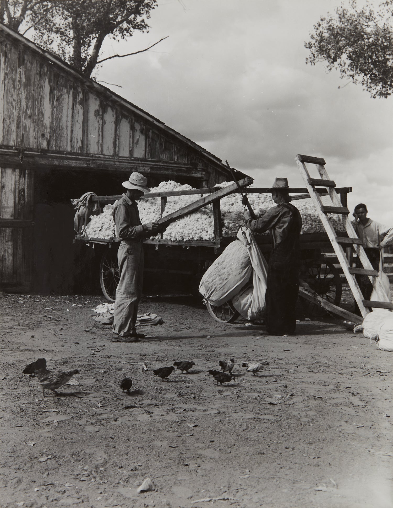 Robert Adams Photographs from the Martin Z. Margulies Foundation