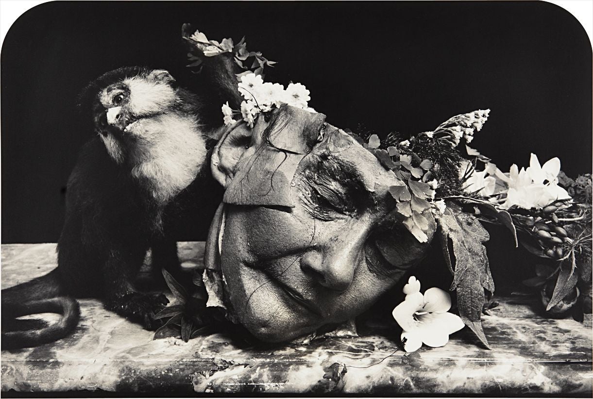 Joel-Peter Witkin: Works for Sale, Upcoming Auctions & Past Results