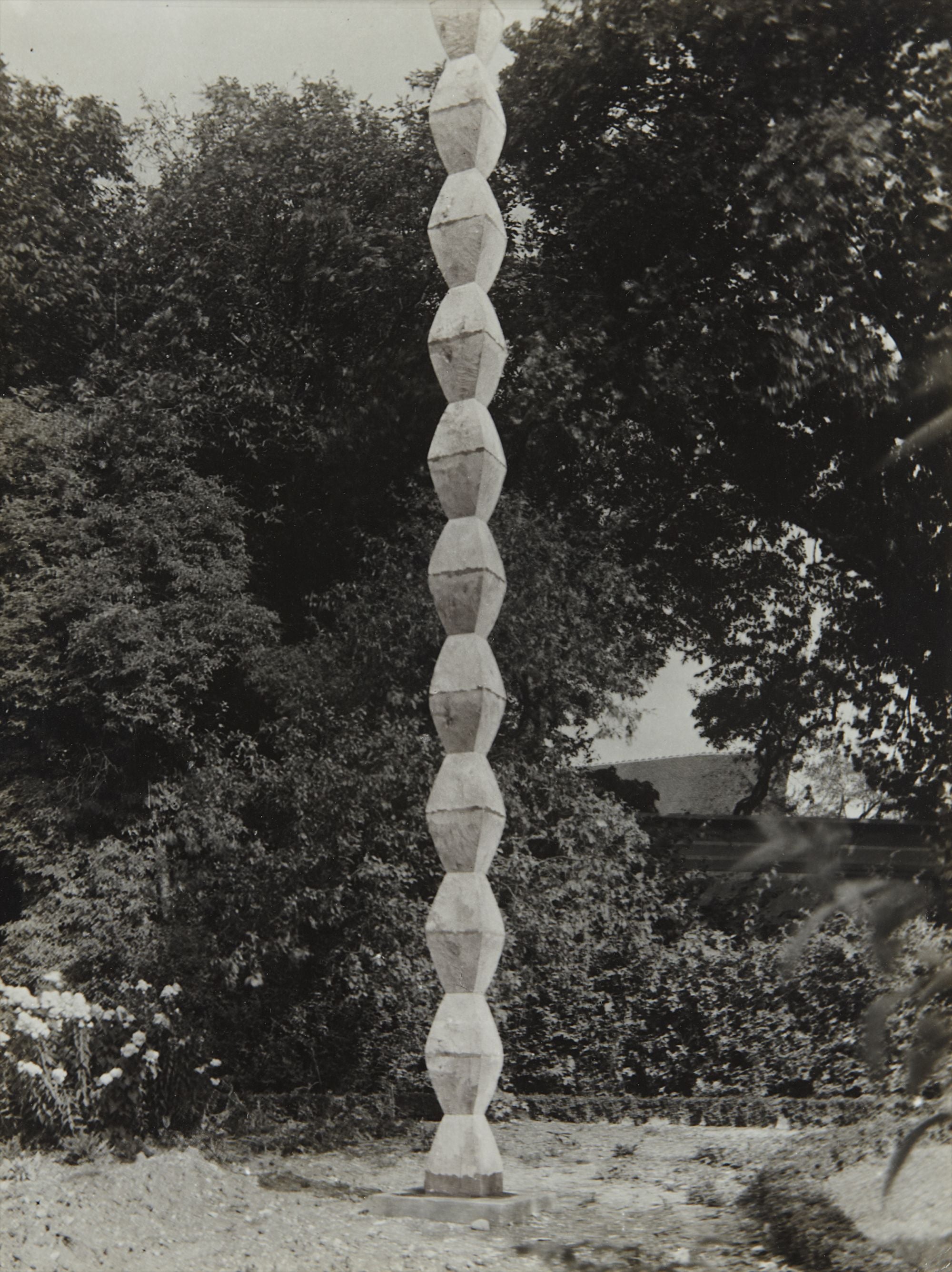 Constantin Brancusi Photographs