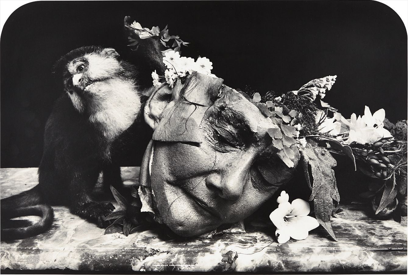 Joel Peter Witkin 4000部限定 21st Editions