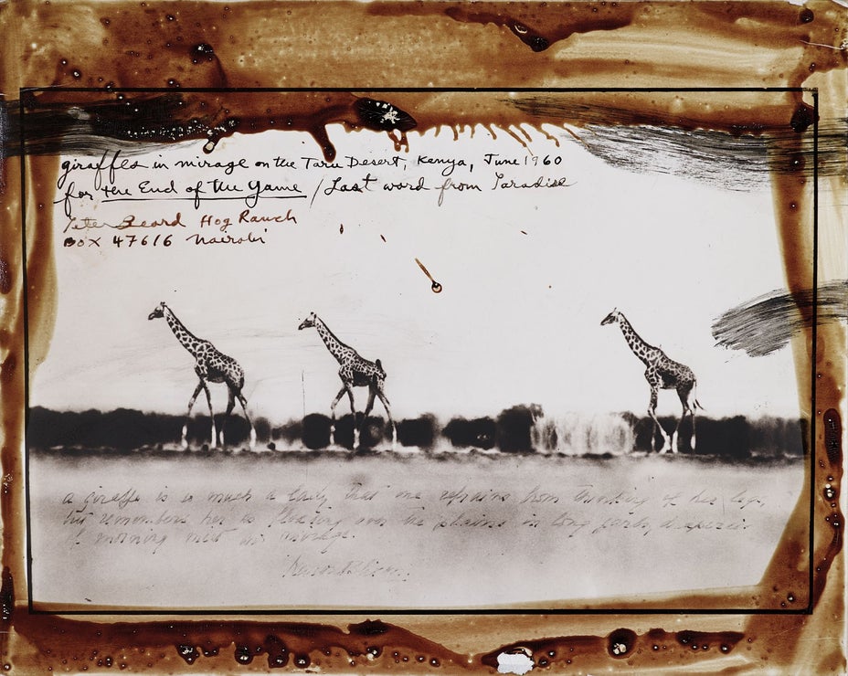 Brought to you by Phillips