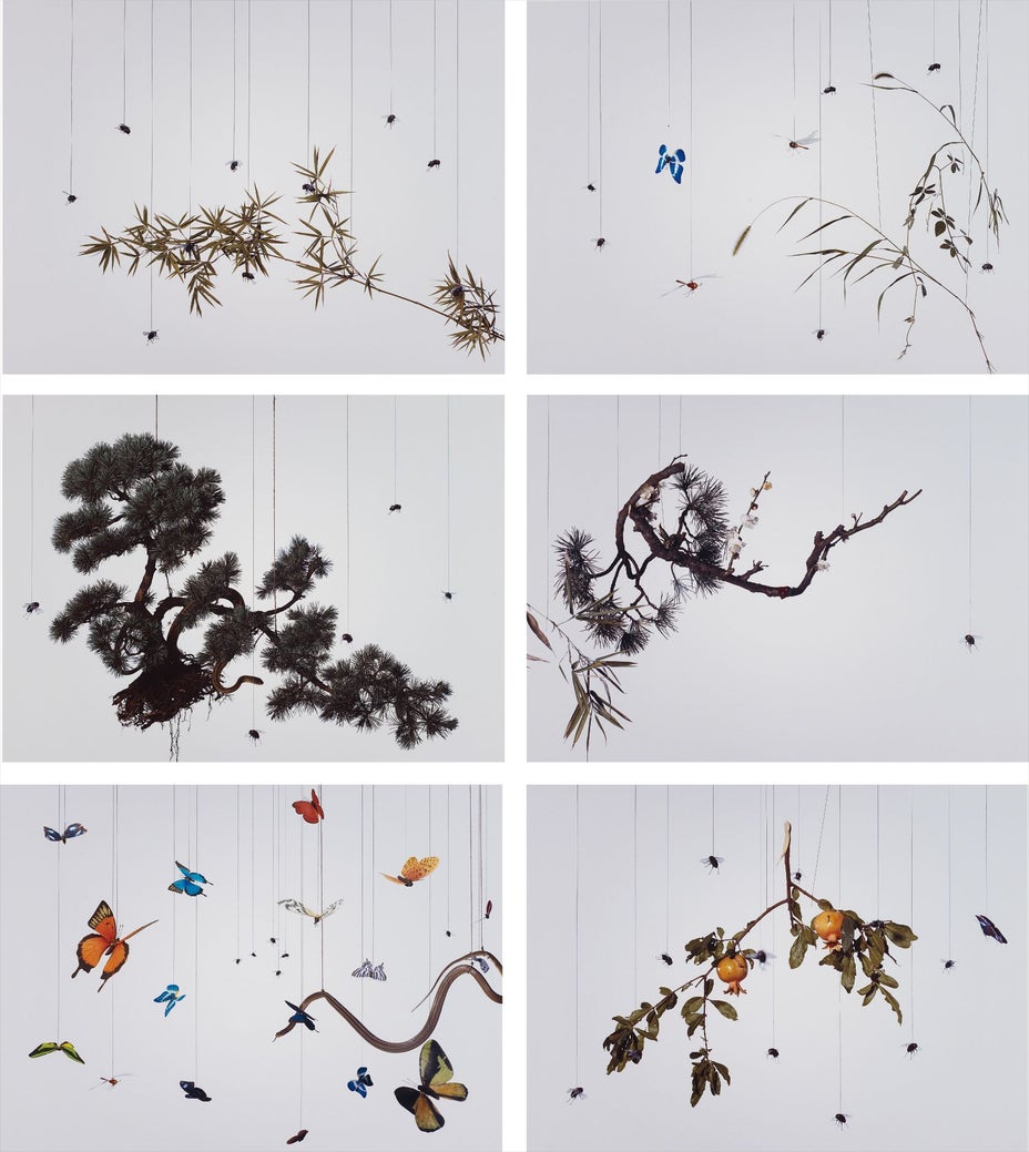 Brought to you by Phillips