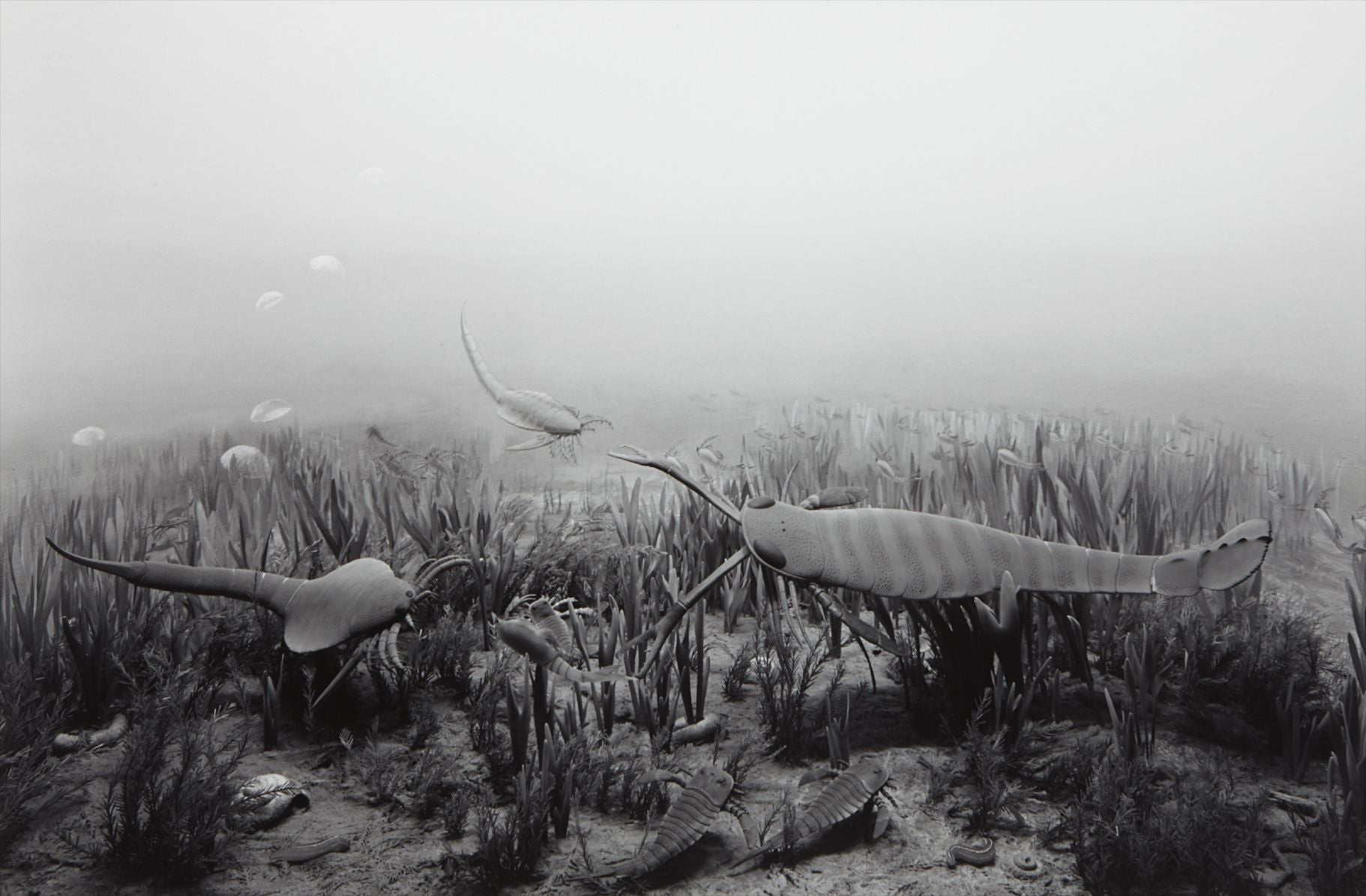 Hiroshi Sugimoto Photographs