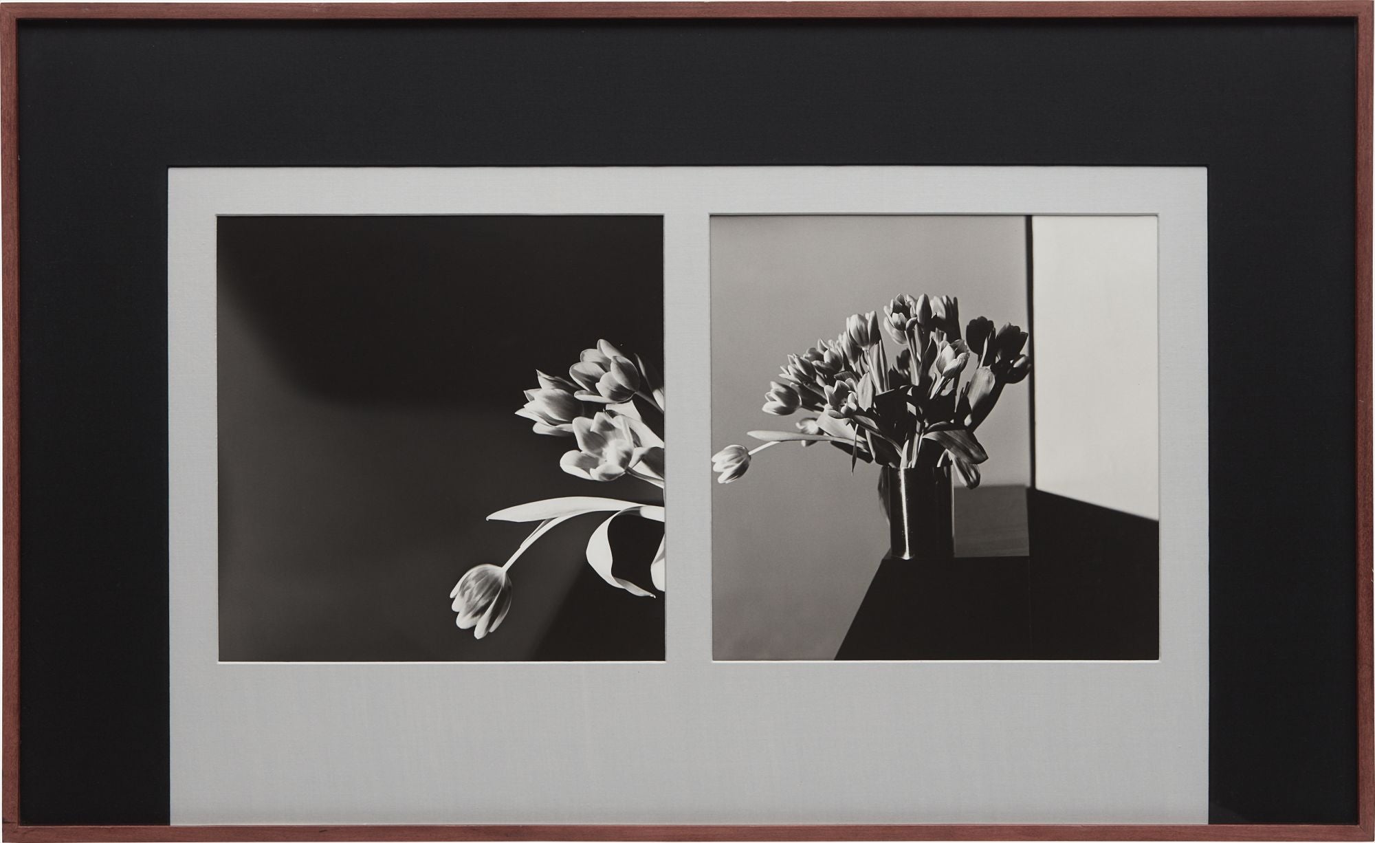 Robert Mapplethorpe Photographs