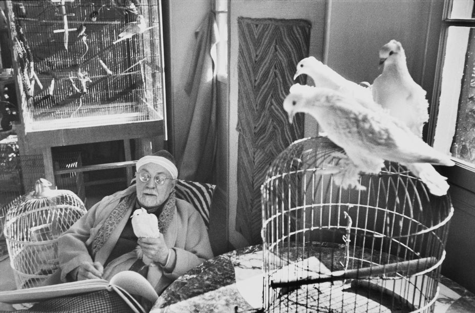 Brought to you by Phillips