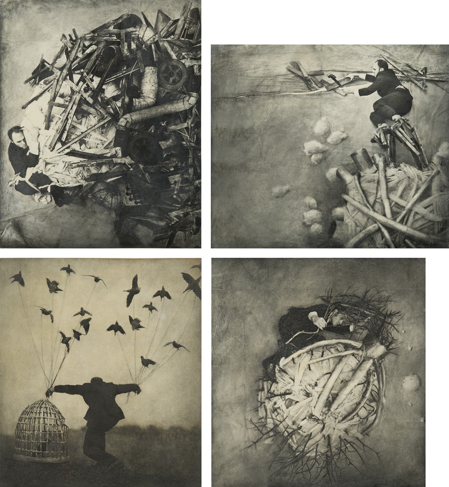 Robert ParkeHarrison: Works for Sale, Upcoming Auctions & Past Results