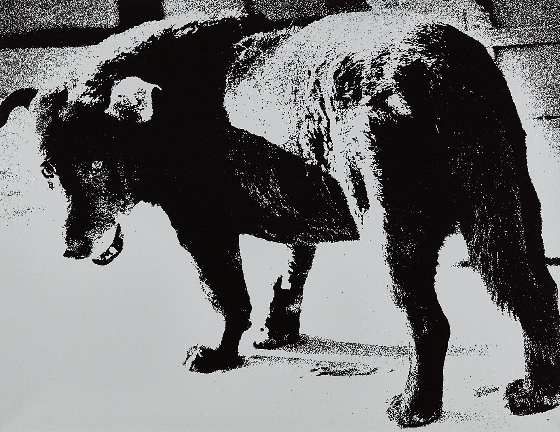 Daidō Moriyama Photographs