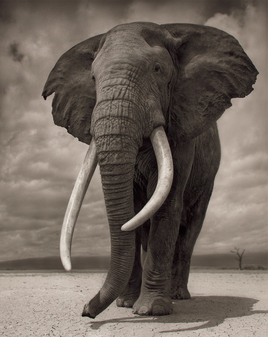 Brought to you by Phillips