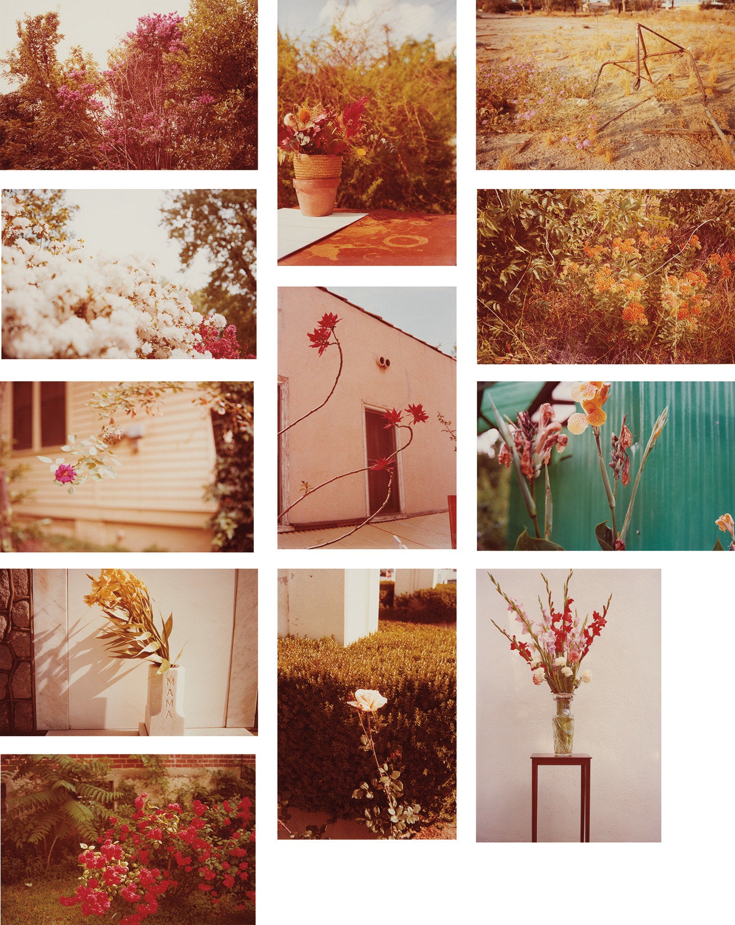 William Eggleston Photographs