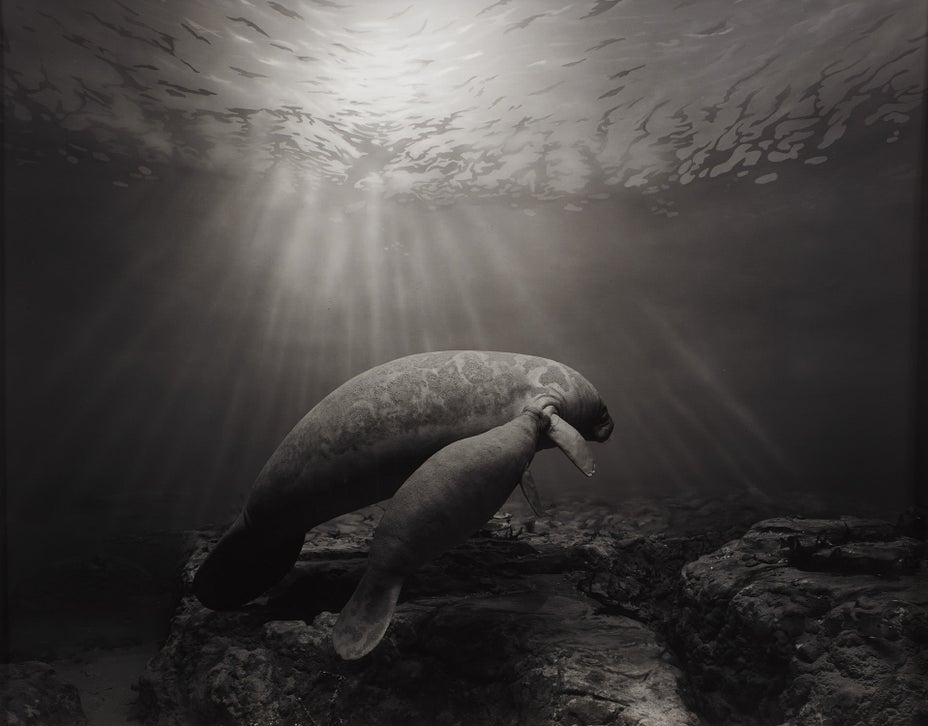 Brought to you by Phillips