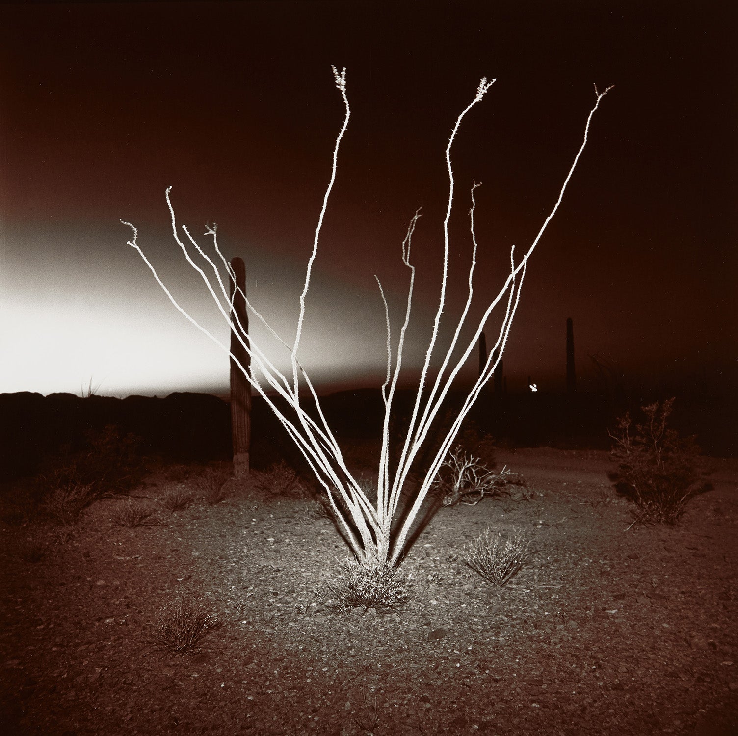Richard Misrach 写真集 Richard Misrach Photographs