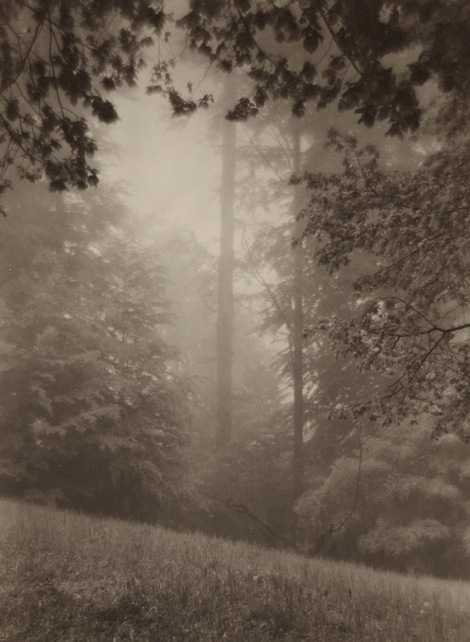 Josef Sudek: Works for Sale, Upcoming Auctions & Past Results