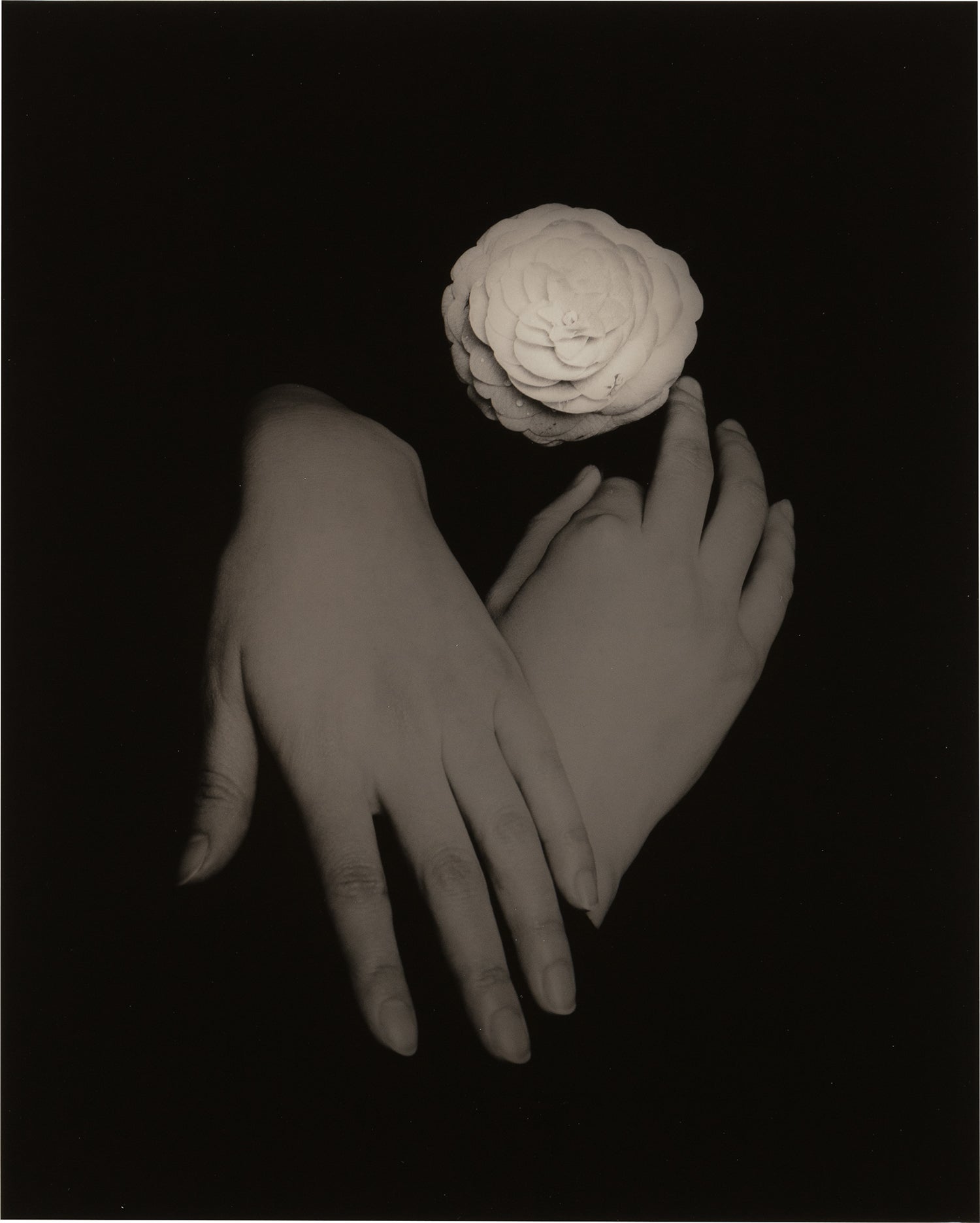 Masaoページ Masao Yamamoto: Works for Sale, Upcoming Auctions & Past Results