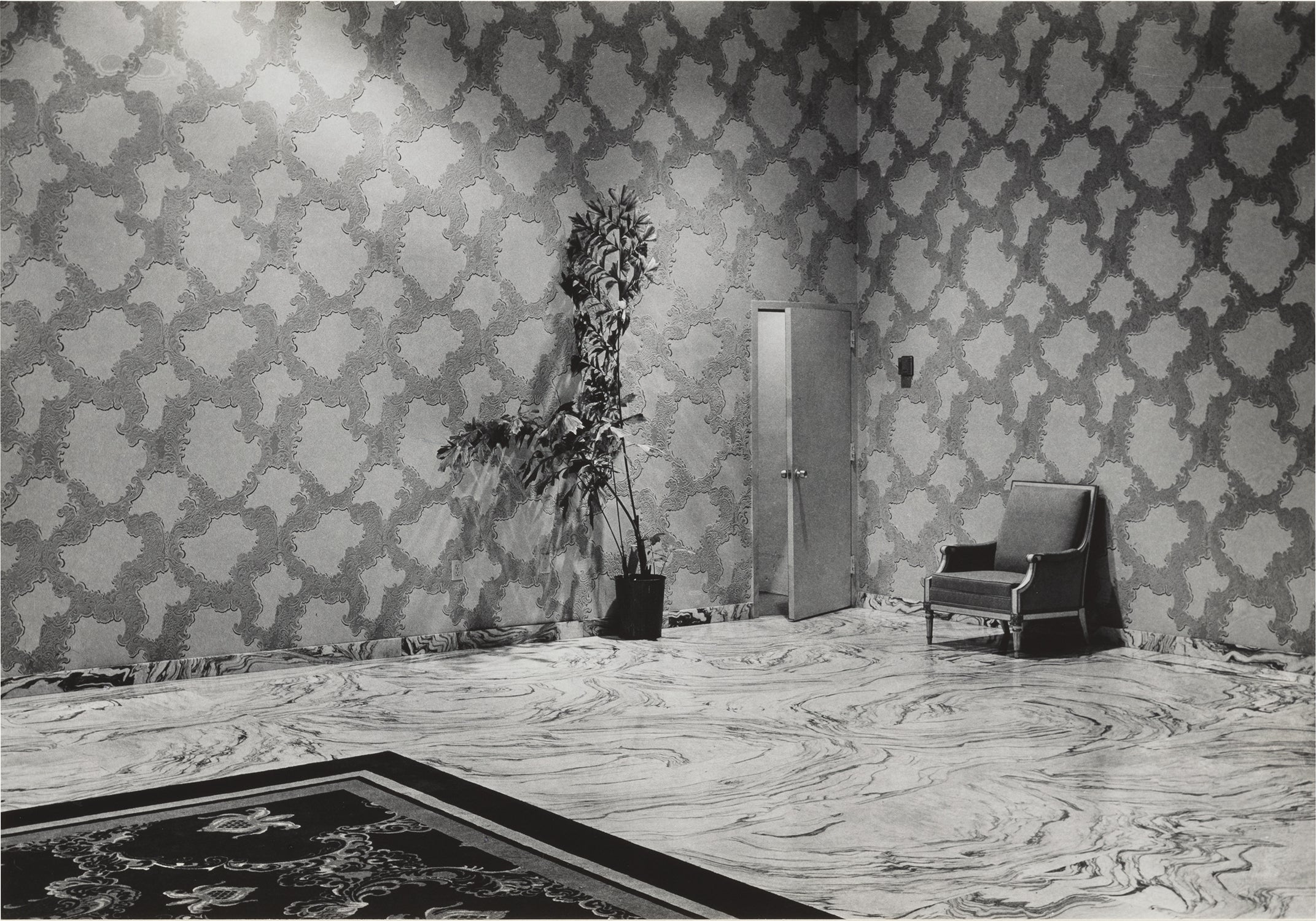 Elliott Erwitt Photographs