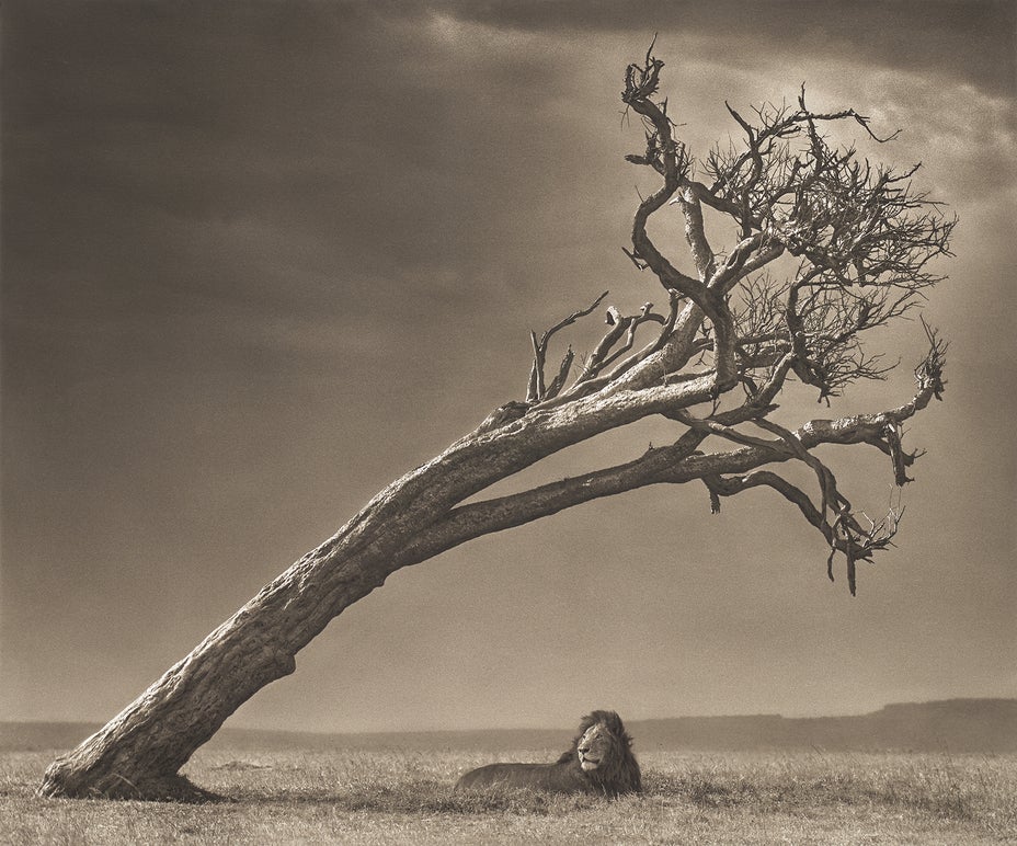 Brought to you by Phillips