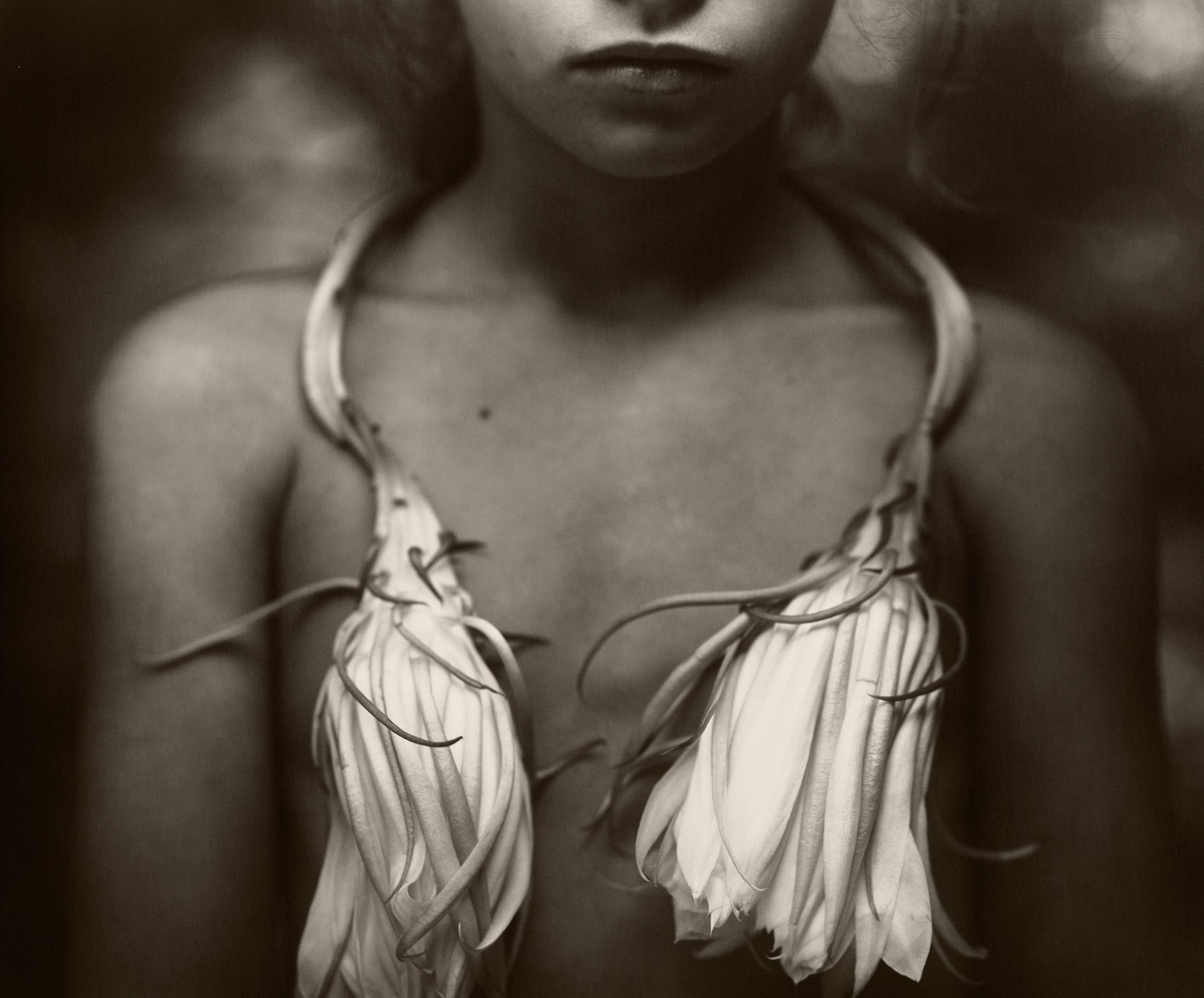 Sally Mann: Works for Sale, Upcoming Auctions & Past Results