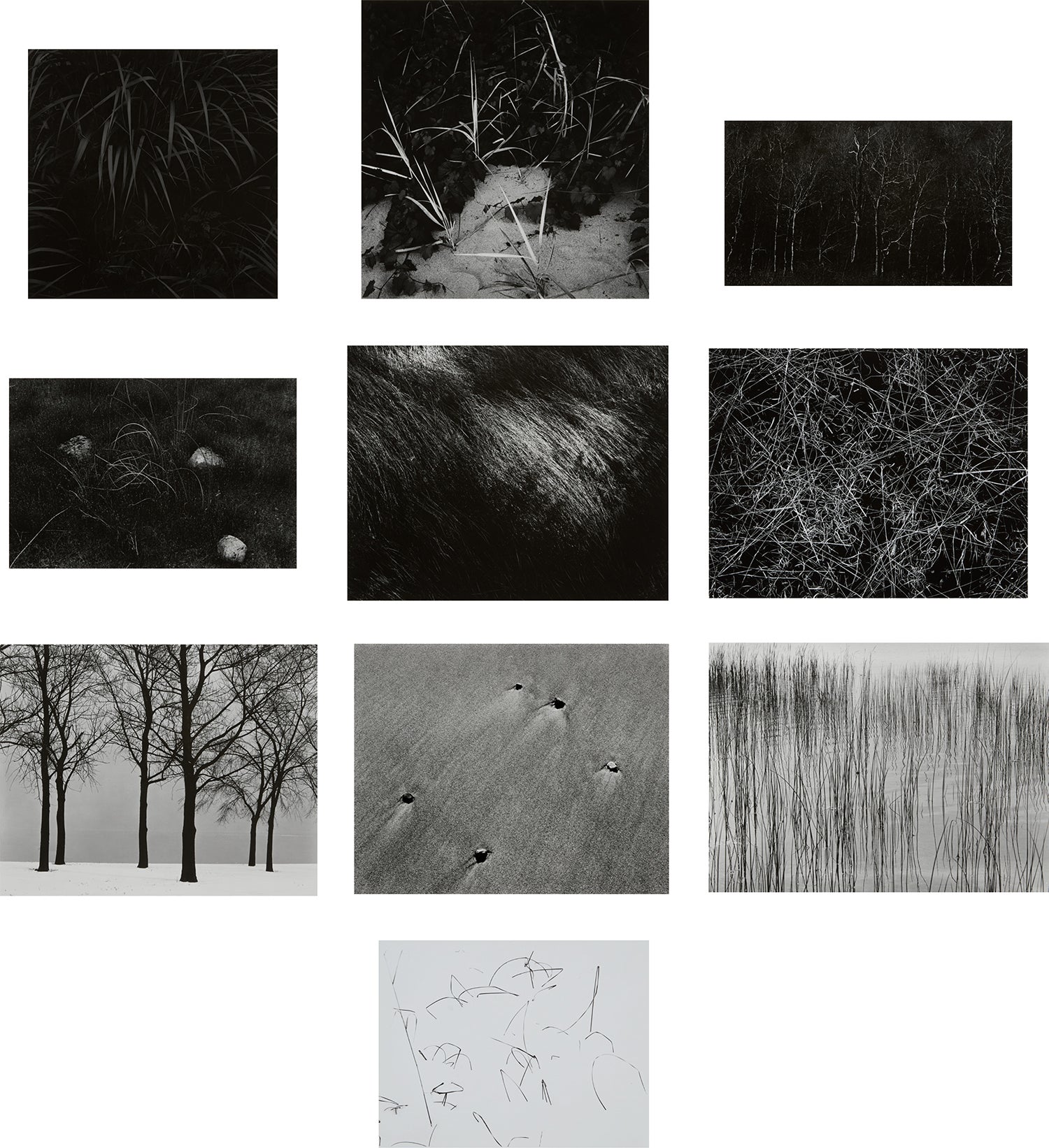 アート・デザイン・音楽 Harry Callahan photographs An exhibition Harry Callahan: Photographs from the Hallmark Photographic