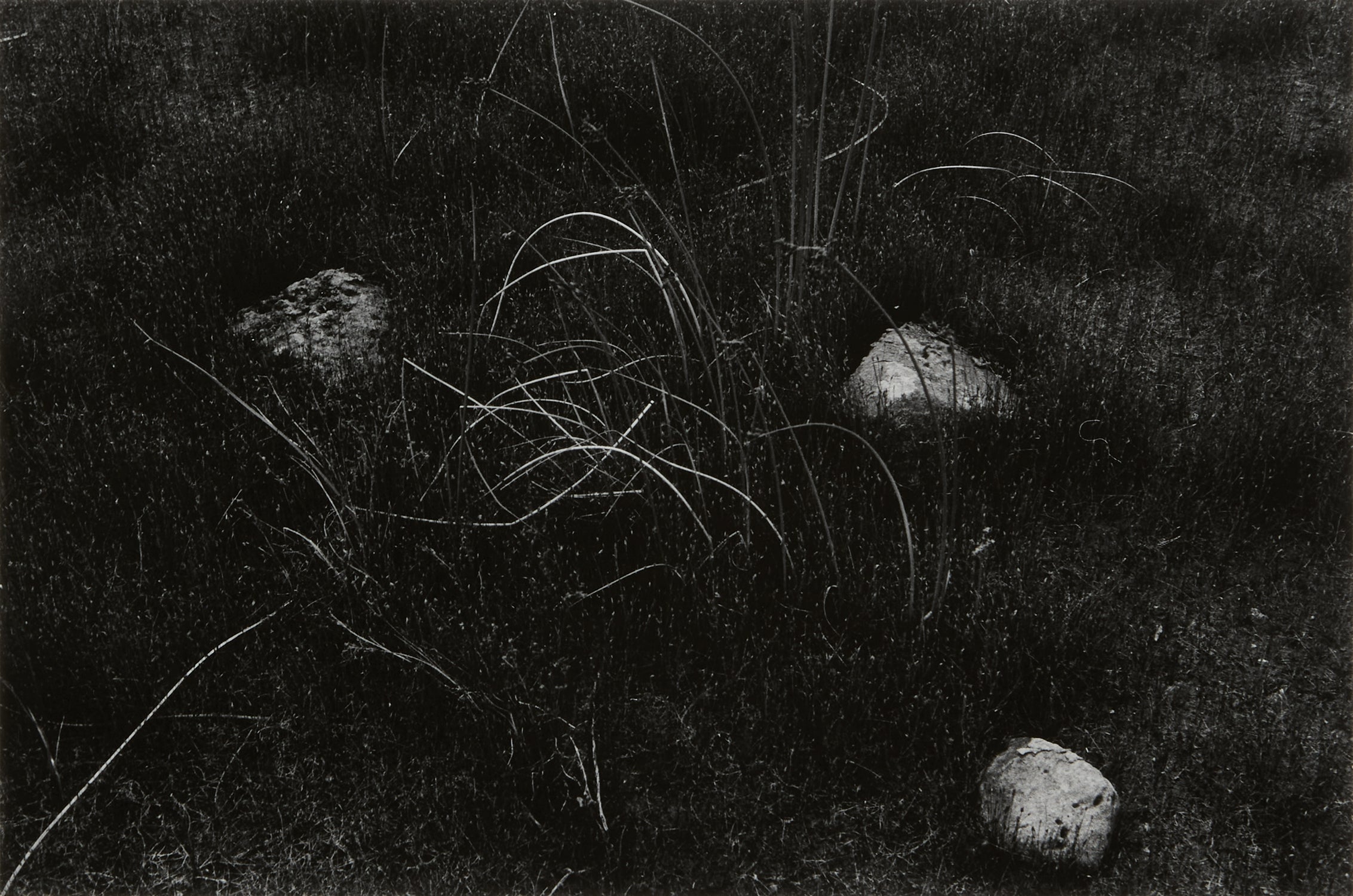 Harry Callahan Photographs