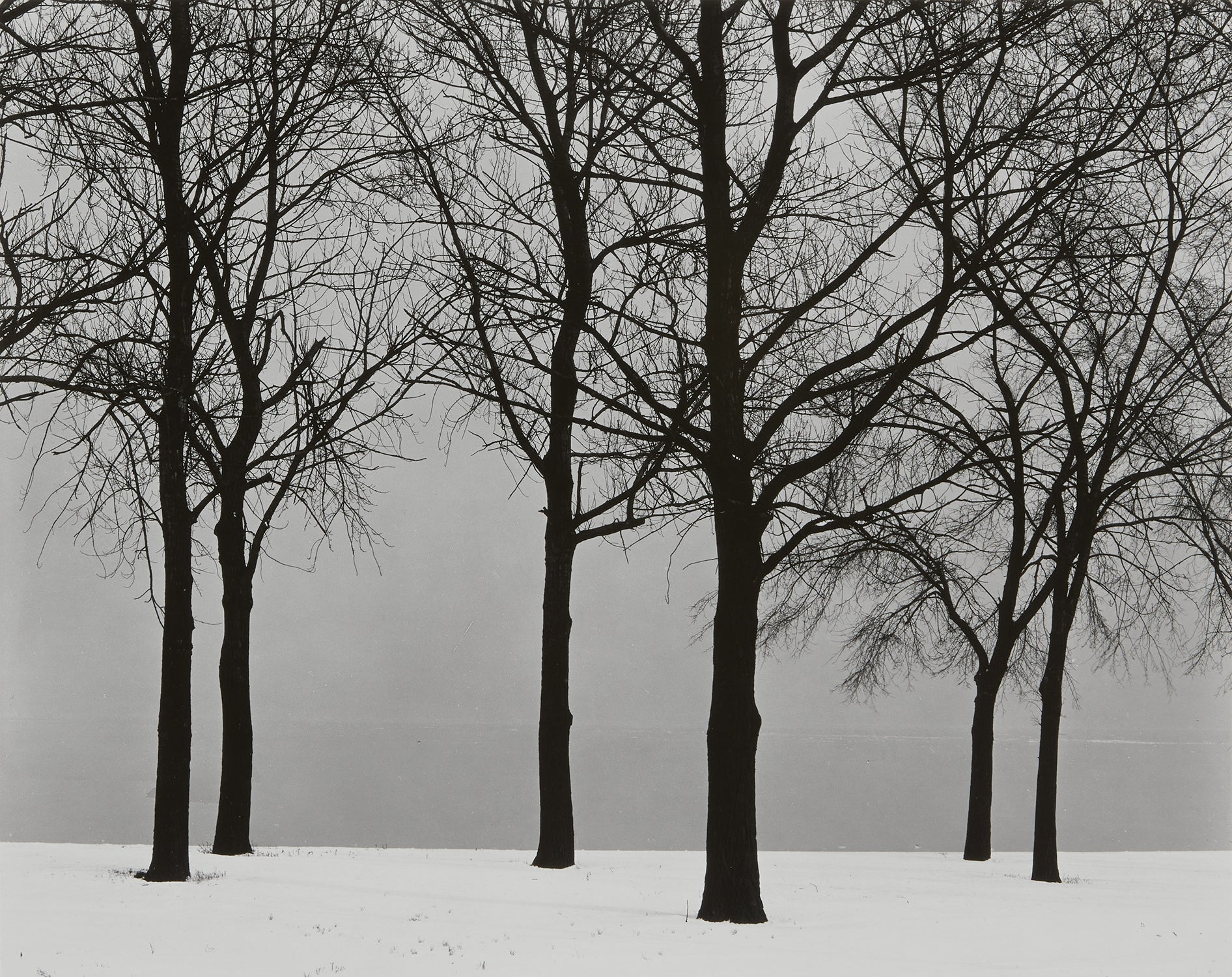 Harry Callahan Photographs