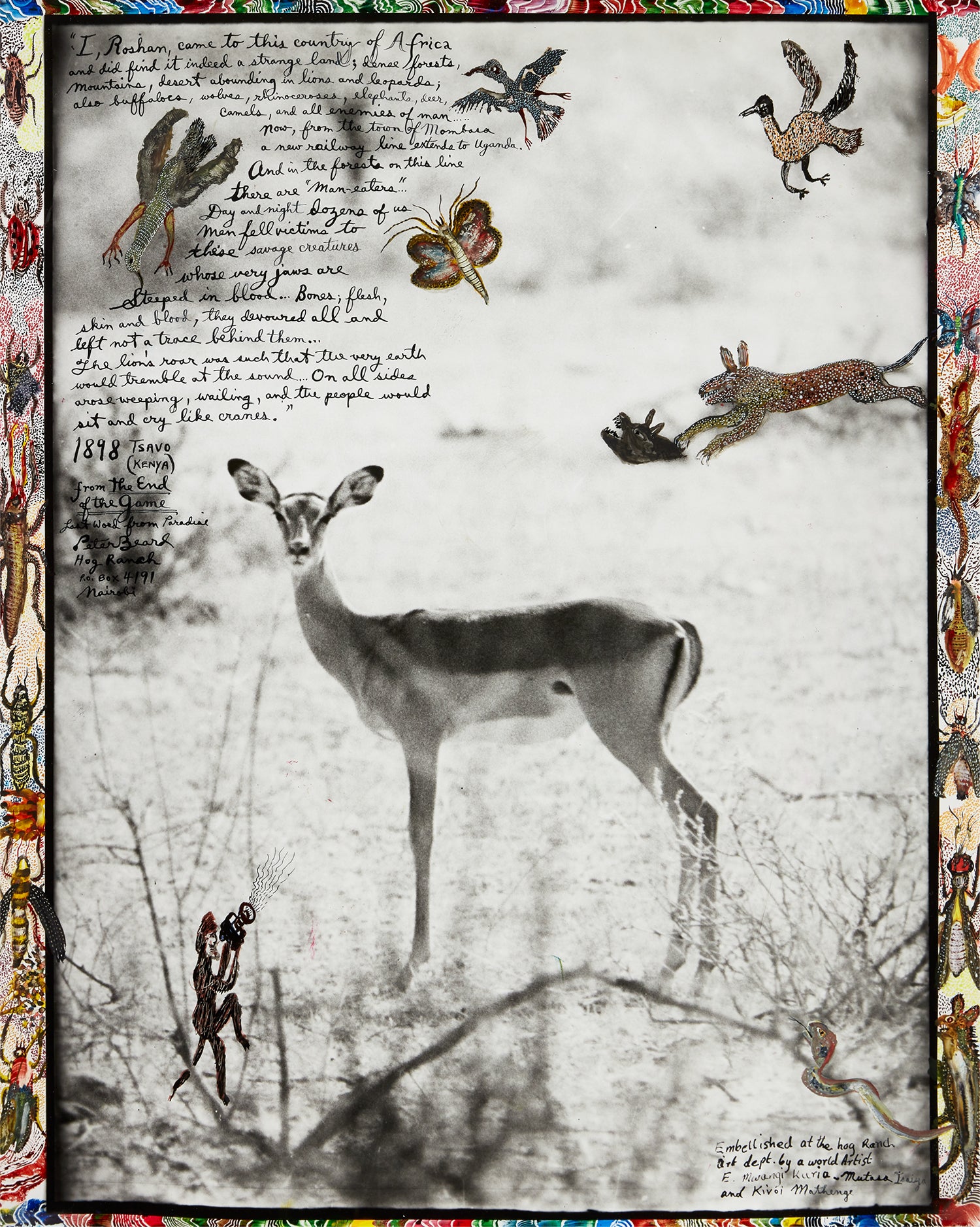 Peter Beard Photographs