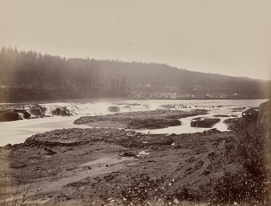 Brought to you by Phillips