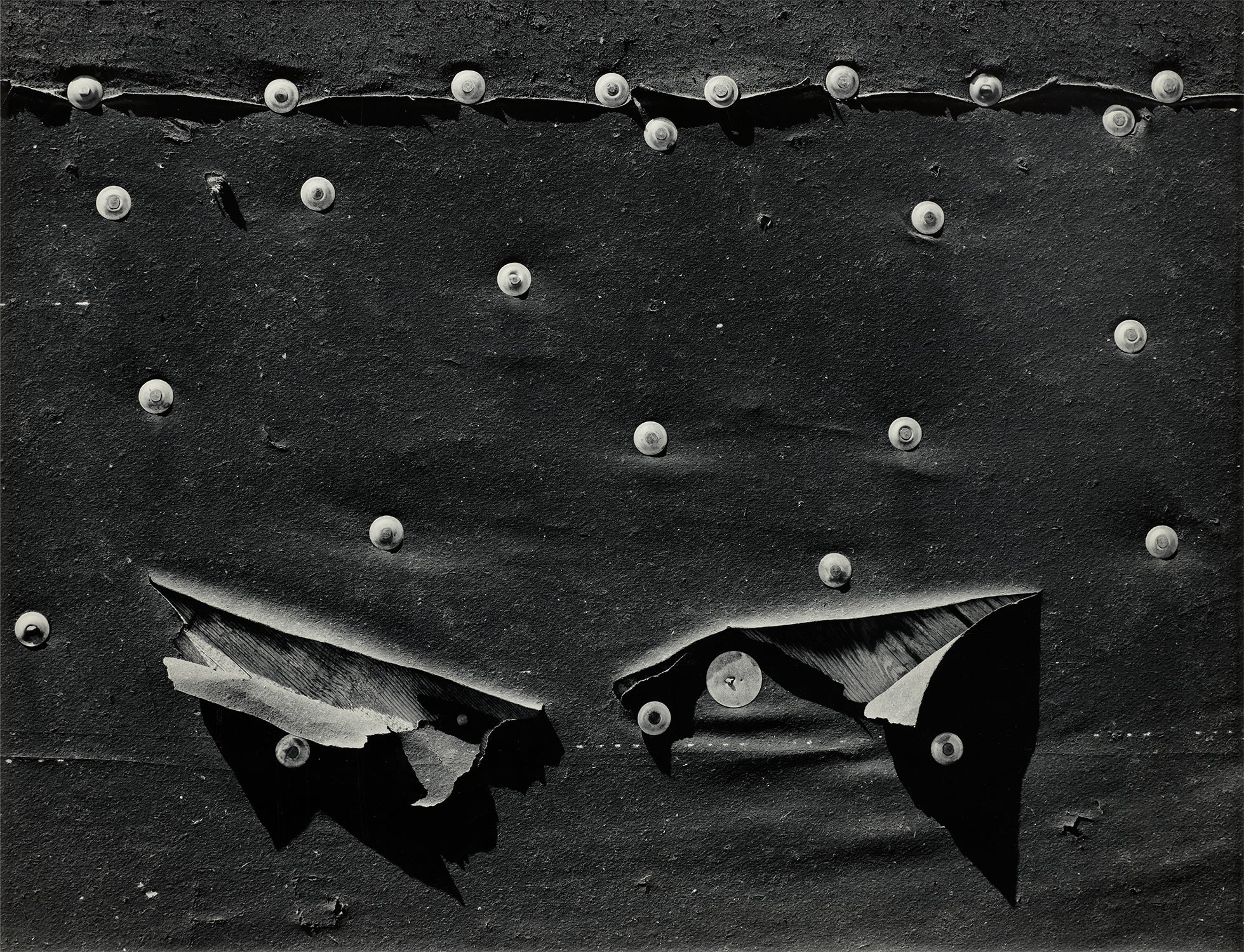 Tar Paper with Nails, Near Mora, New Mexico