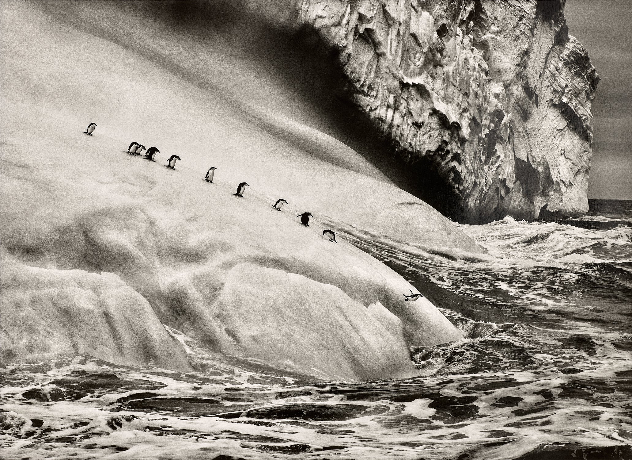 Sebastião Salgado Photographs
